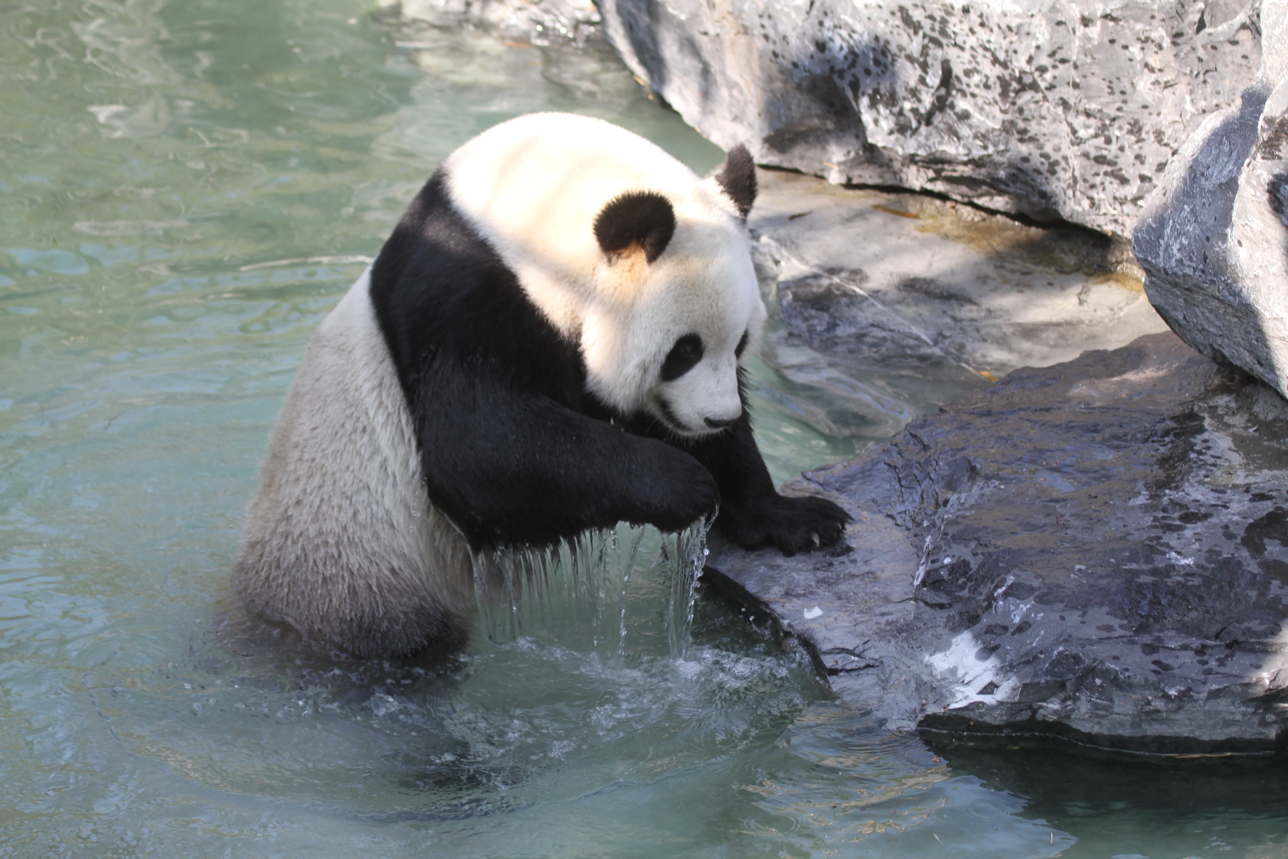 Pairi Daiza
