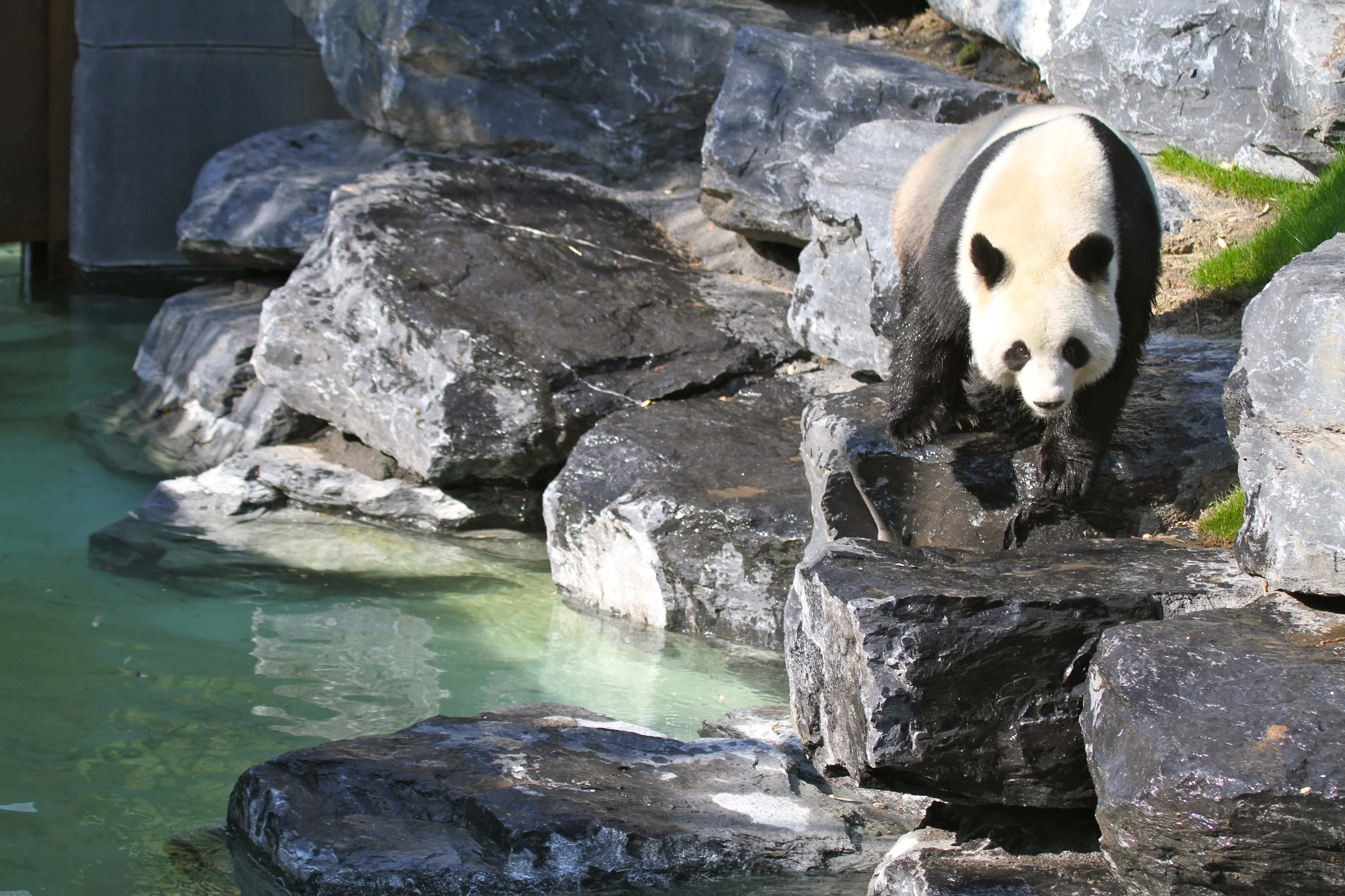 Pairi Daiza