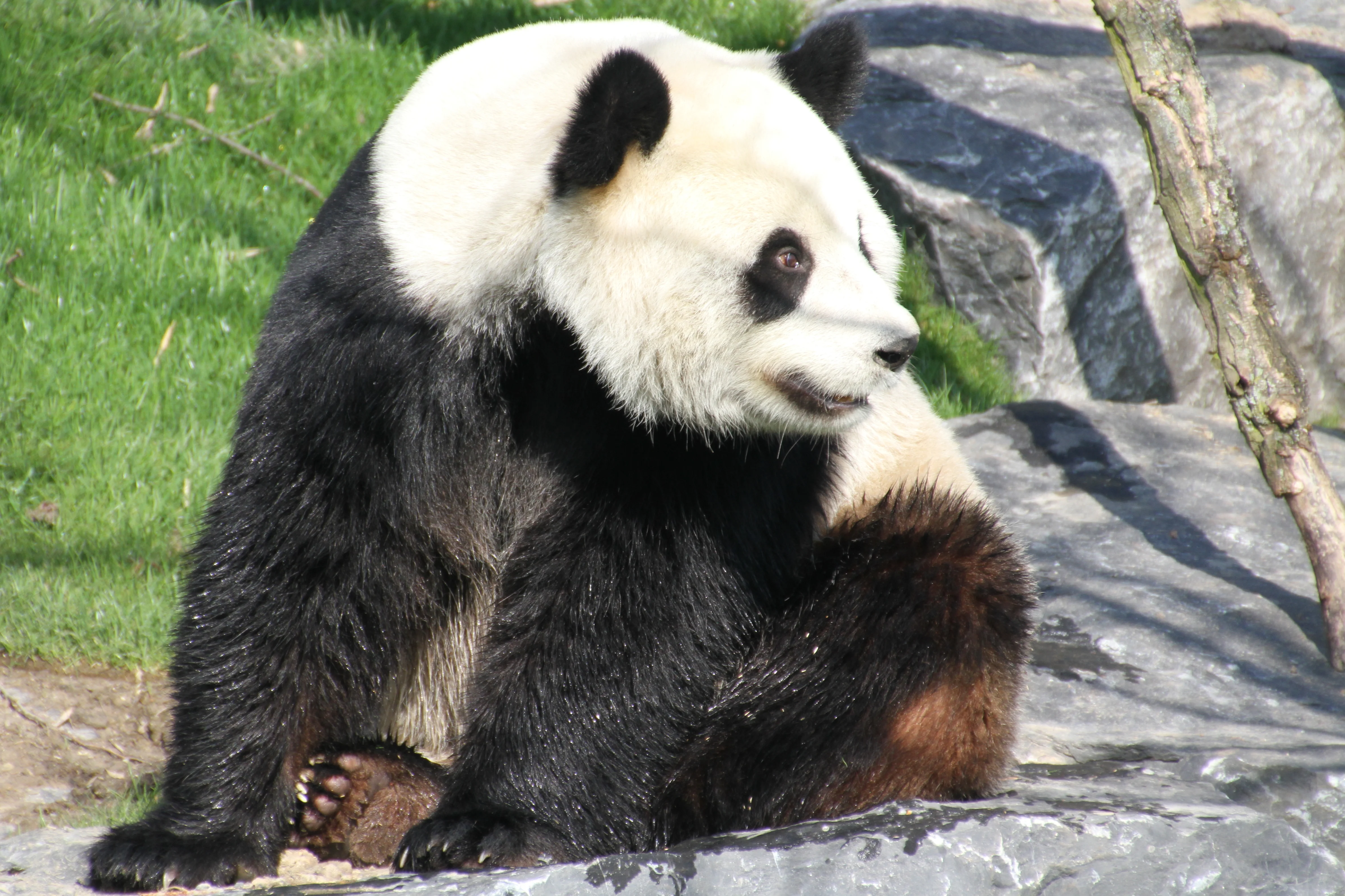 Pairi Daiza
