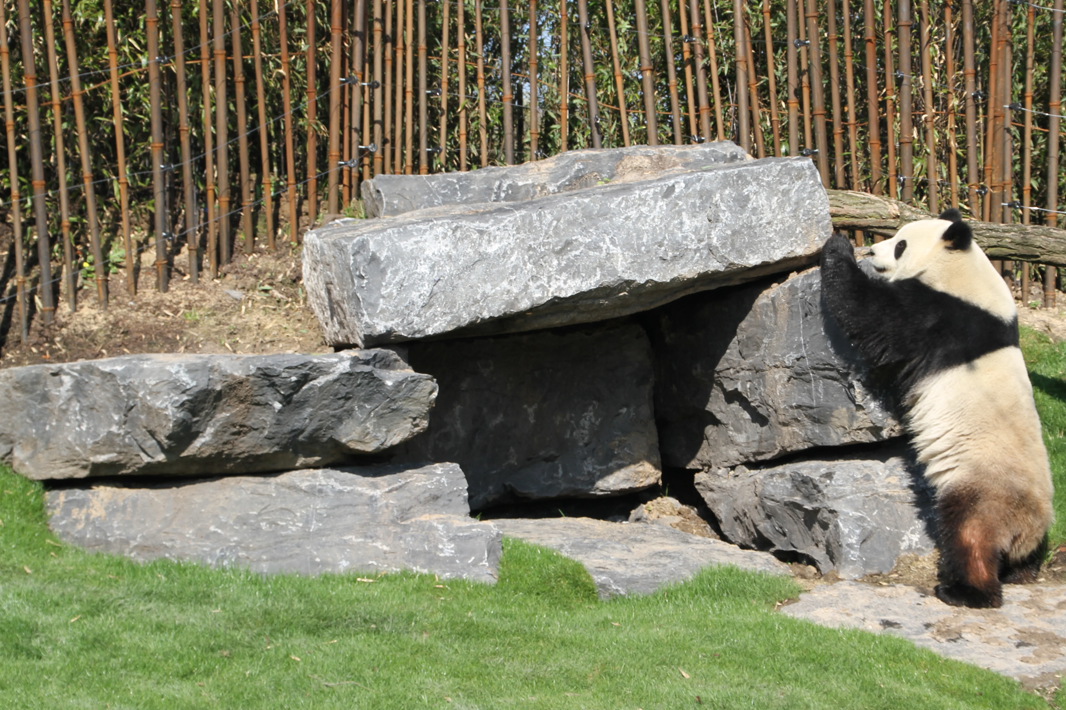 Pairi Daiza