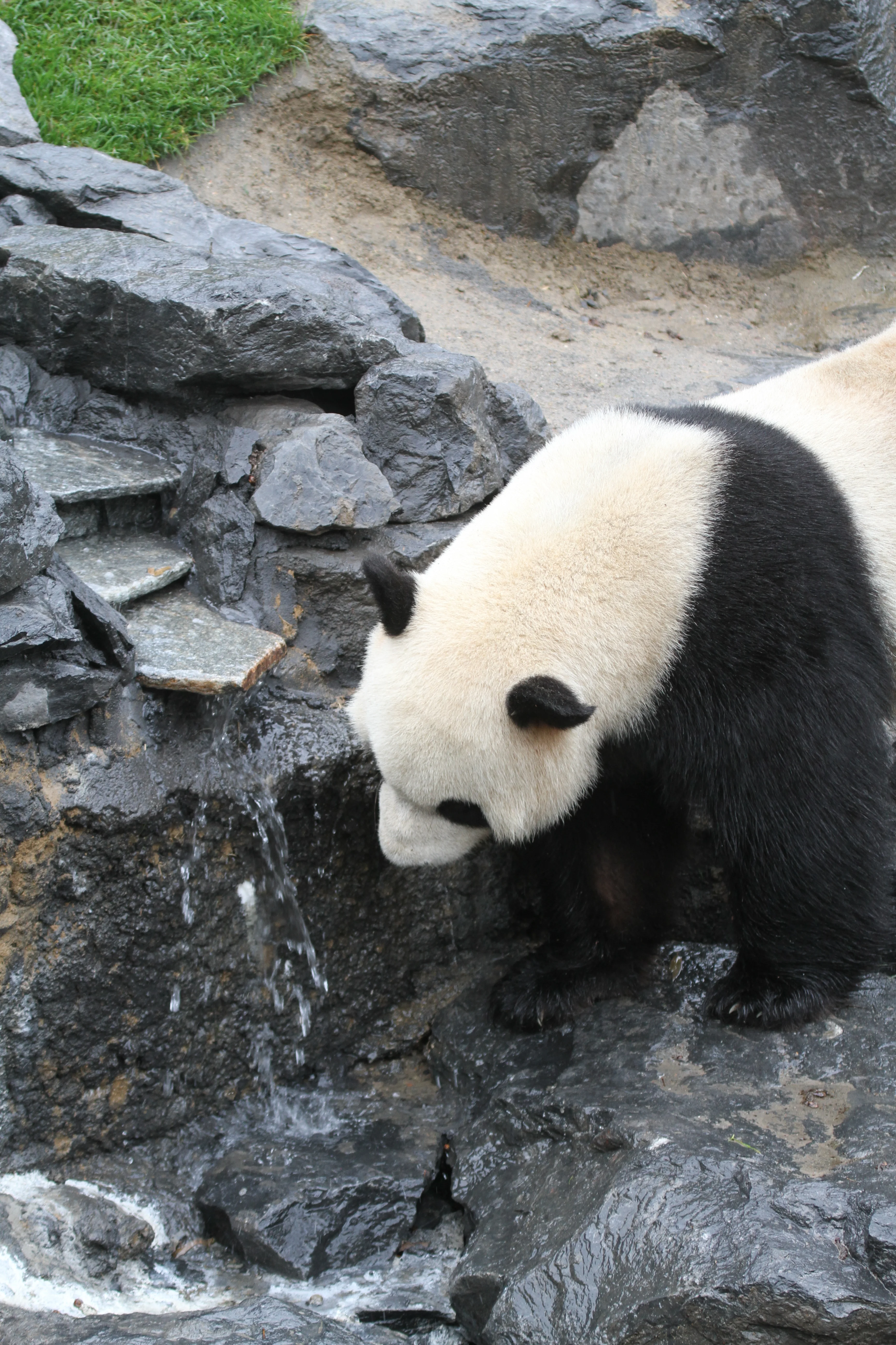 Pairi Daiza