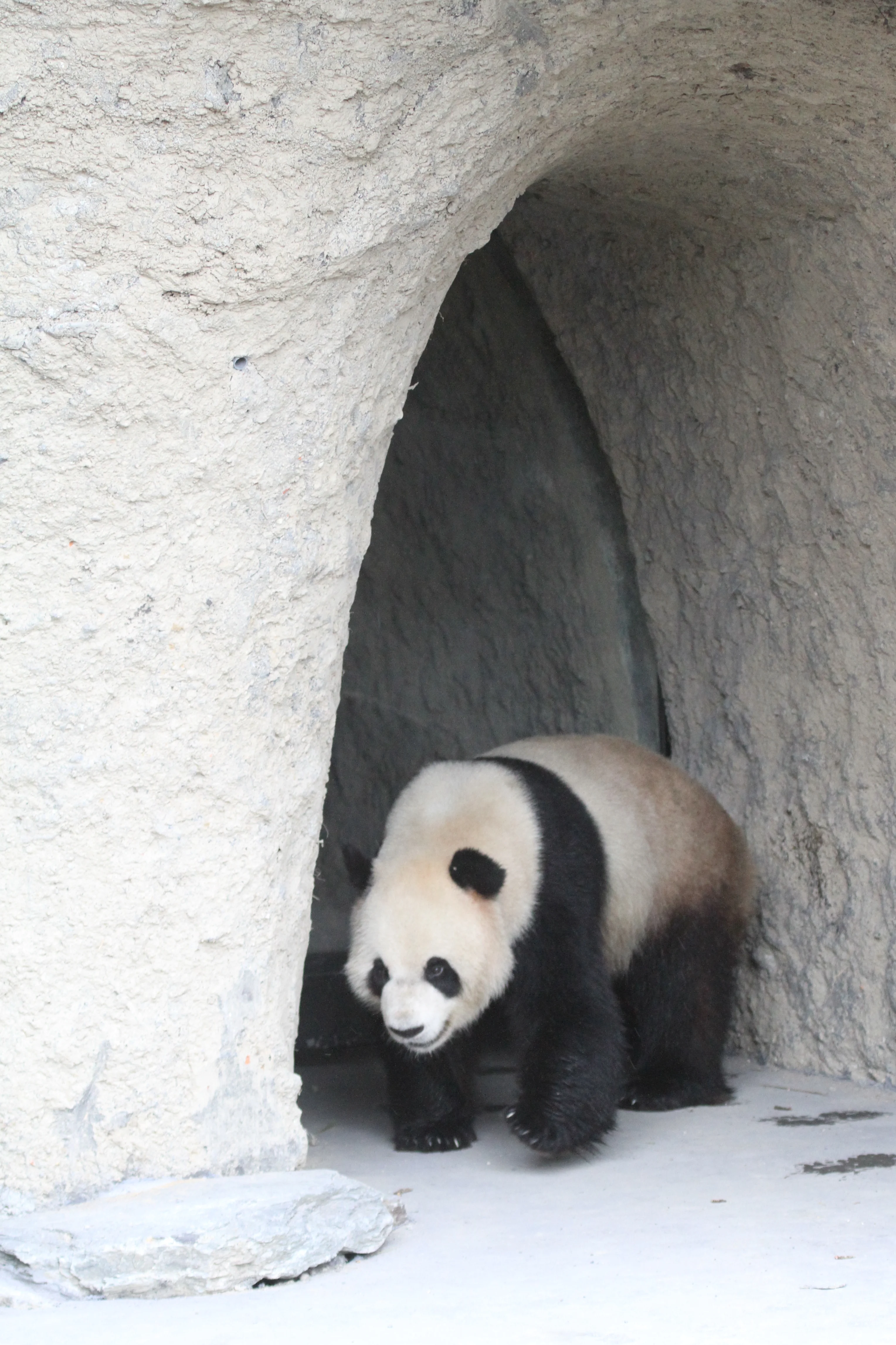 Pairi Daiza