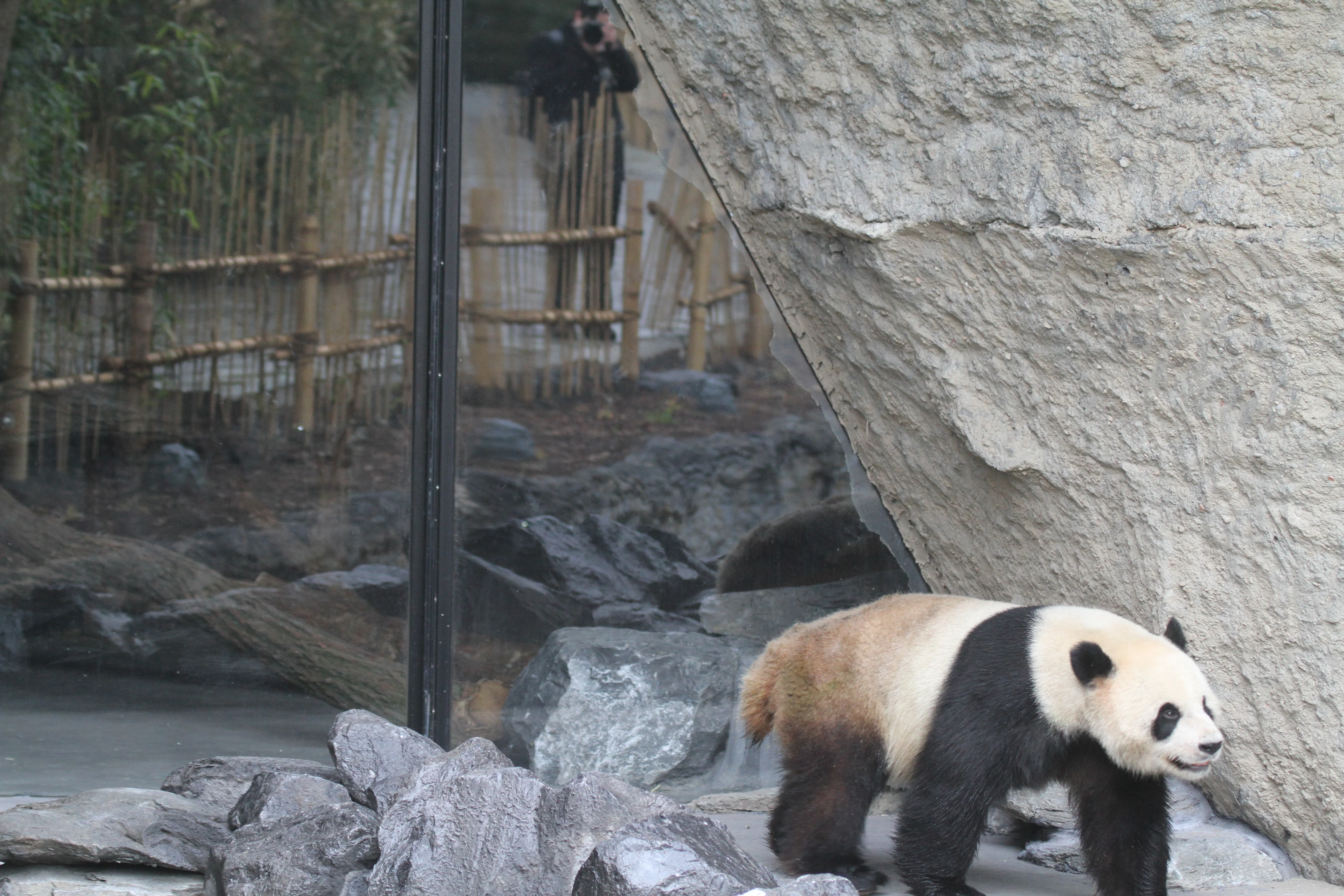 Pairi Daiza