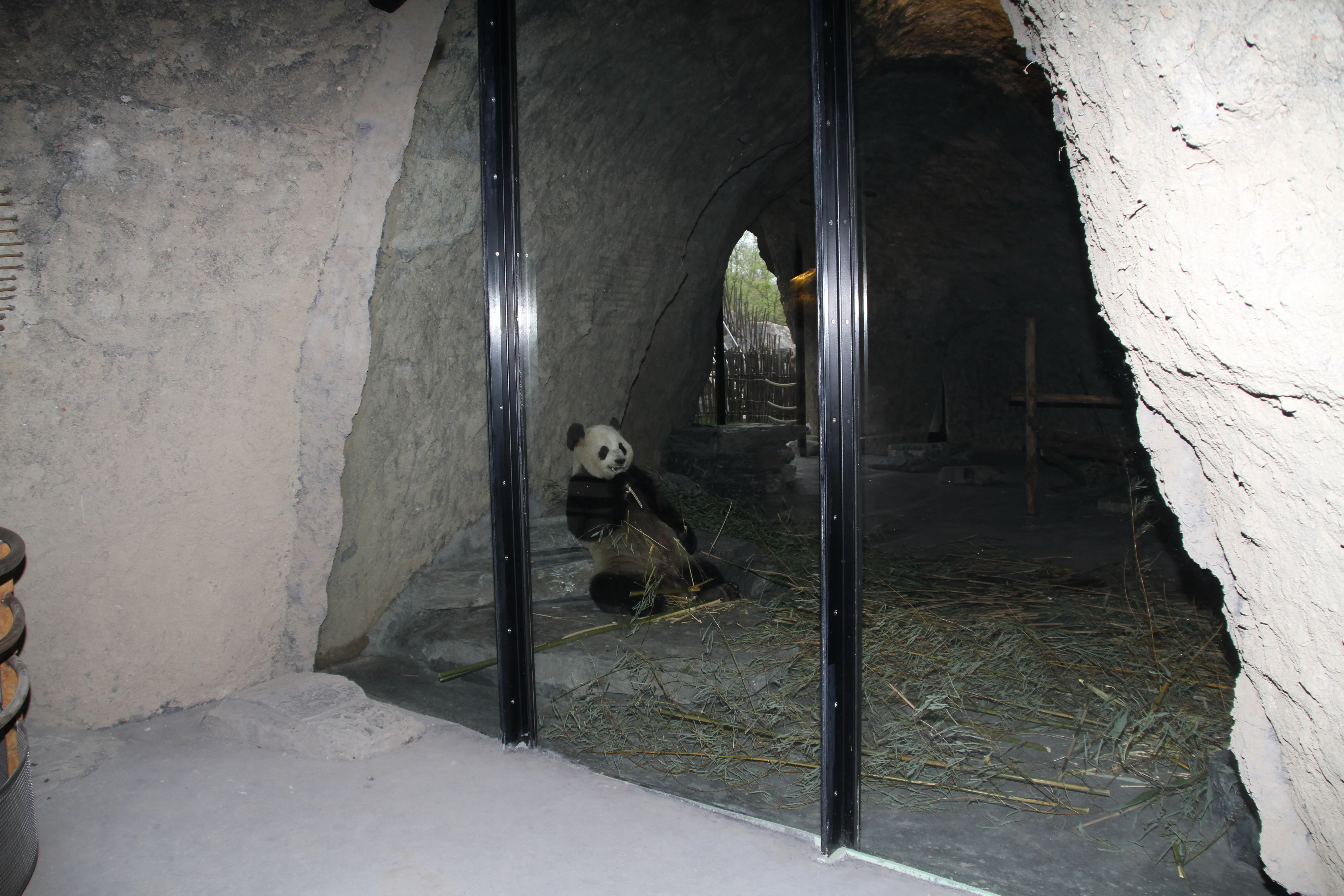 Pairi Daiza