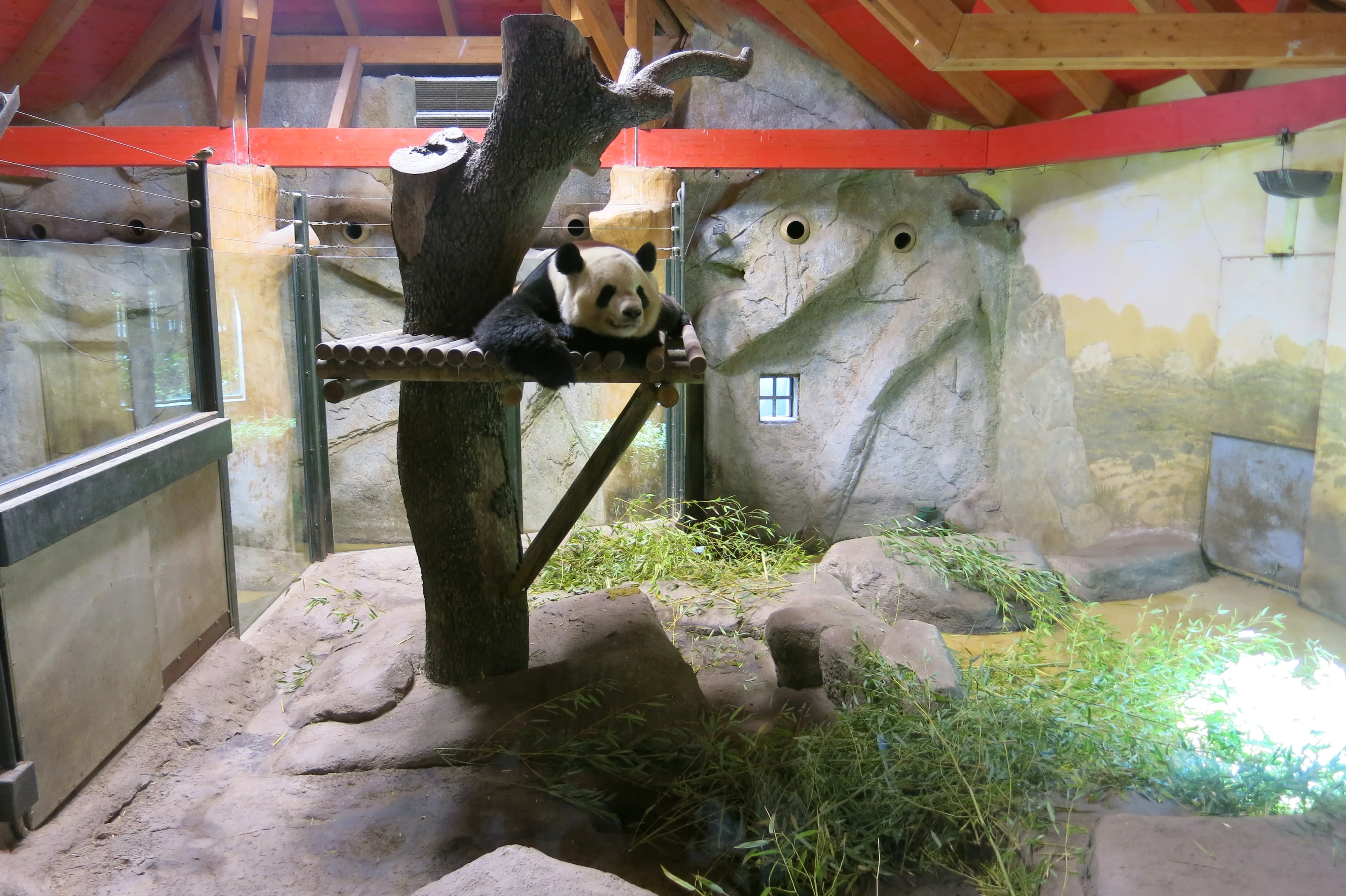 Zoo Madrid