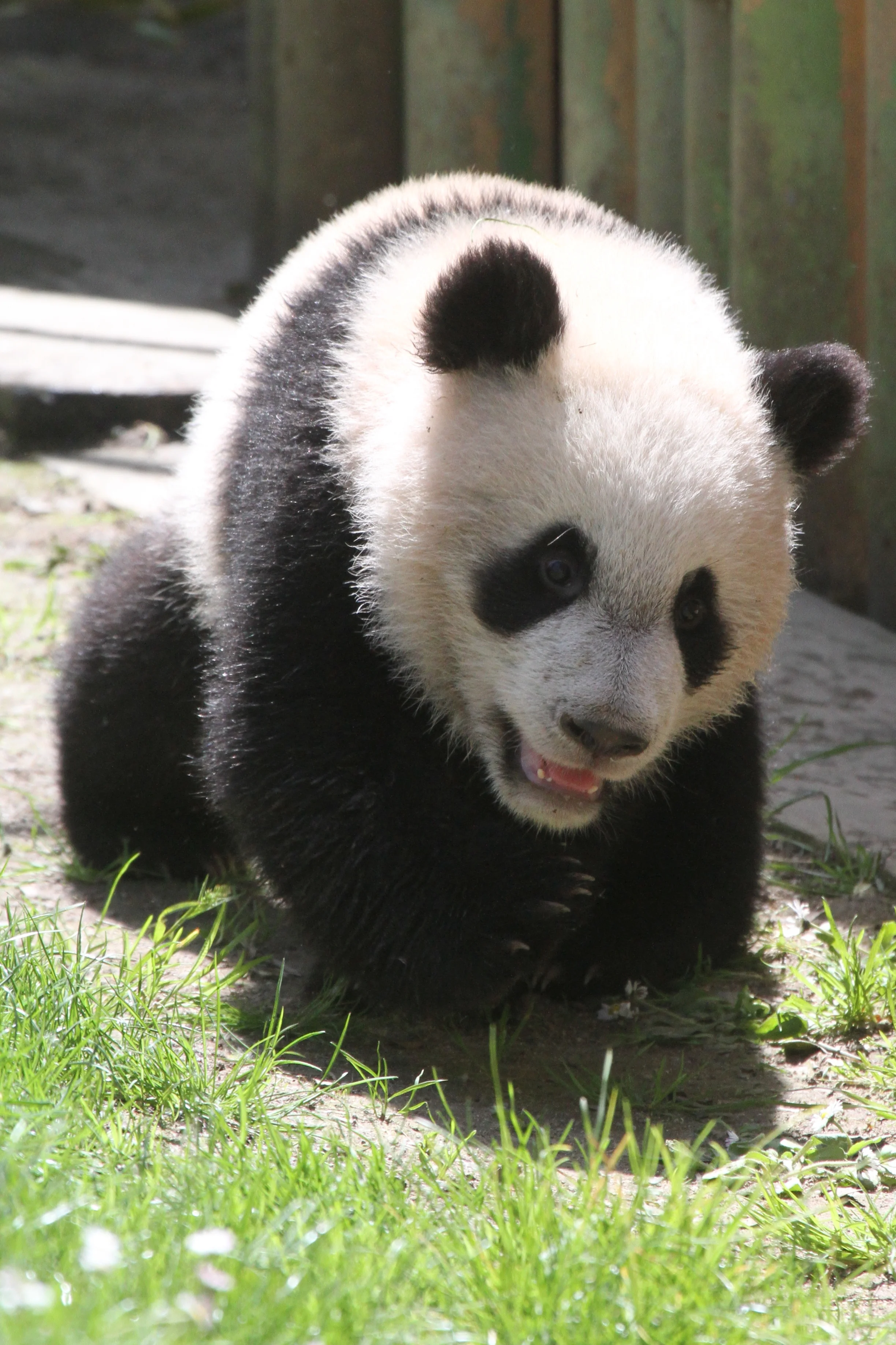 Zoo Madrid