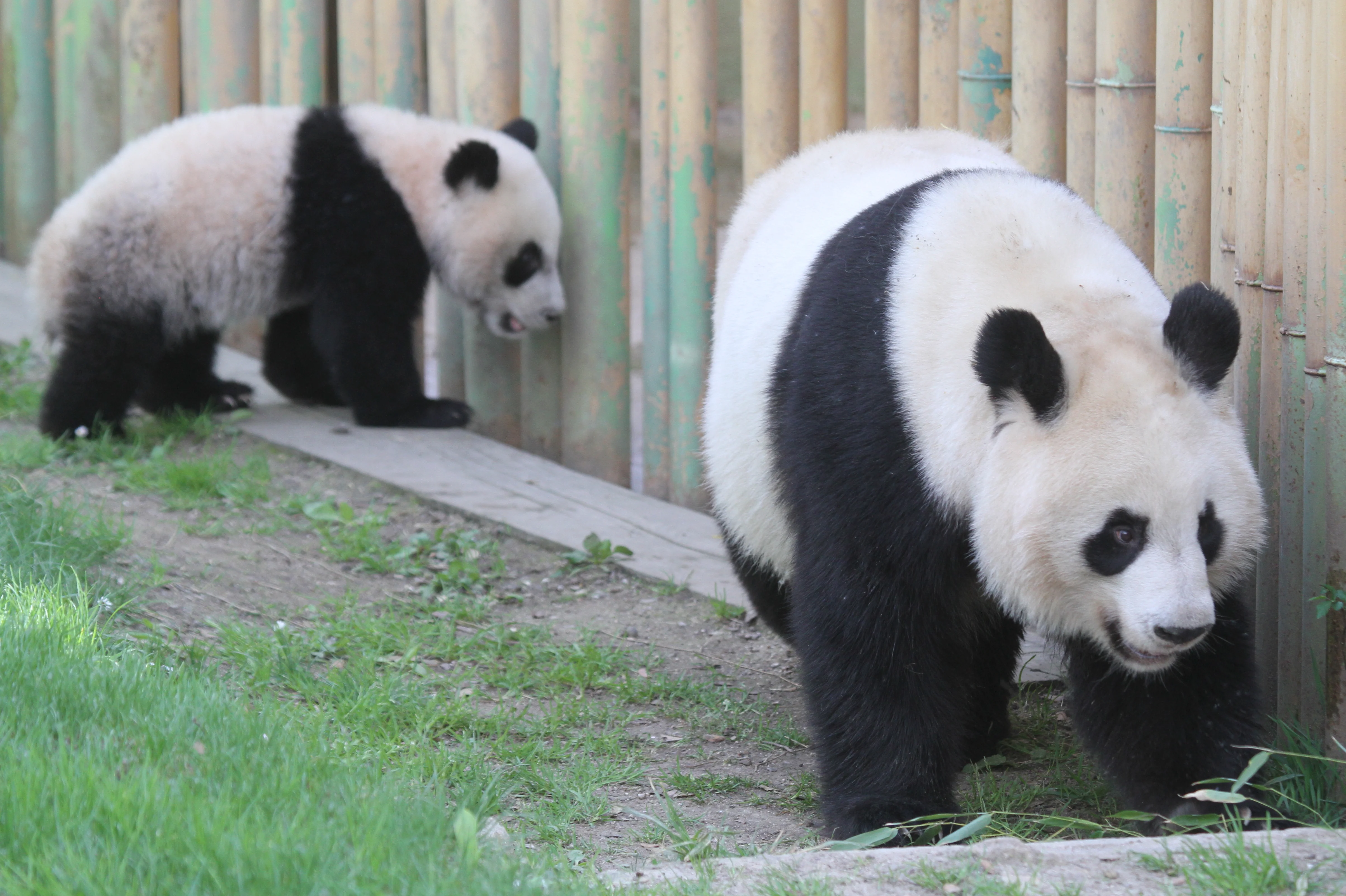 Zoo Madrid