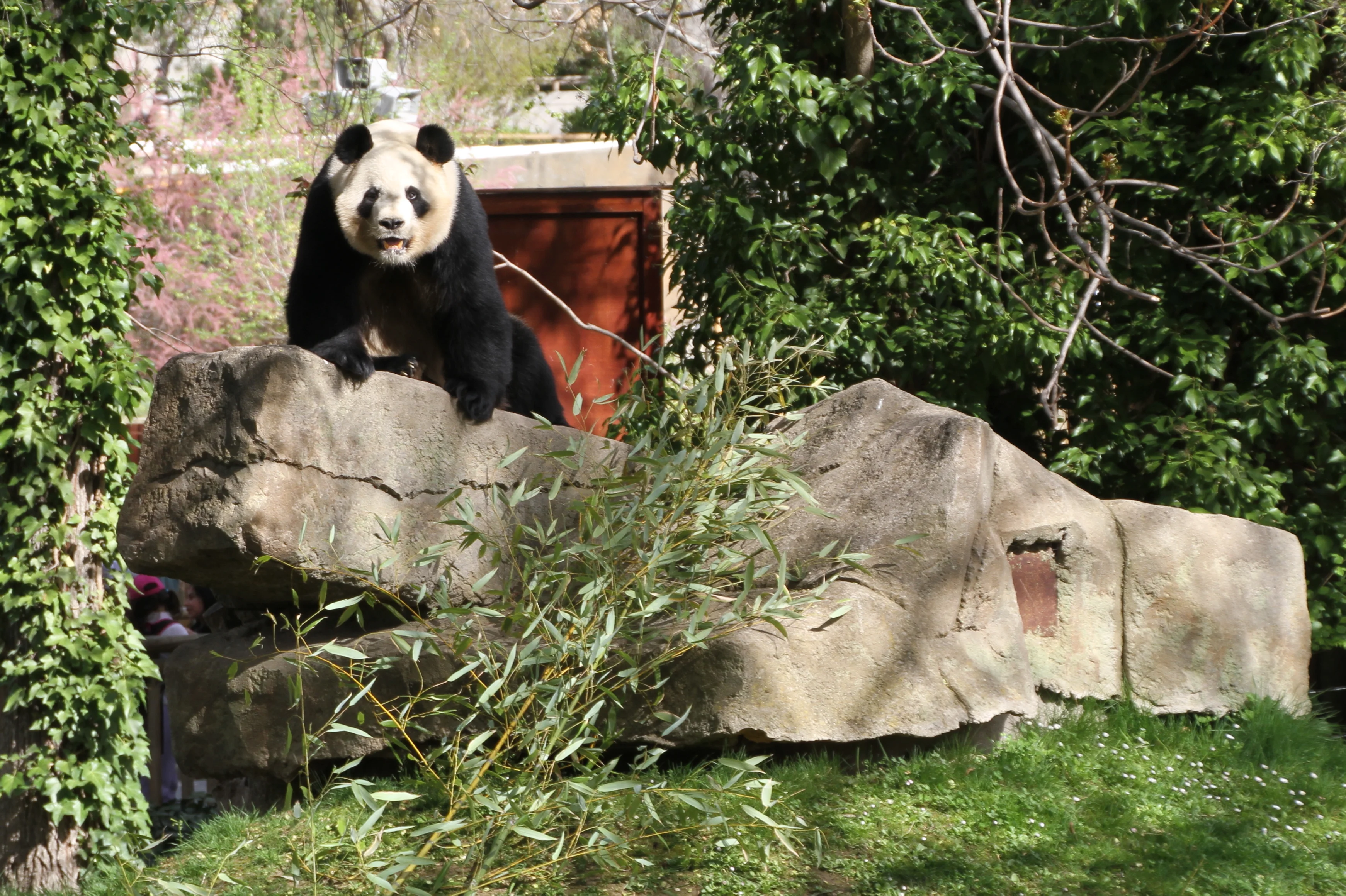 Zoo Madrid