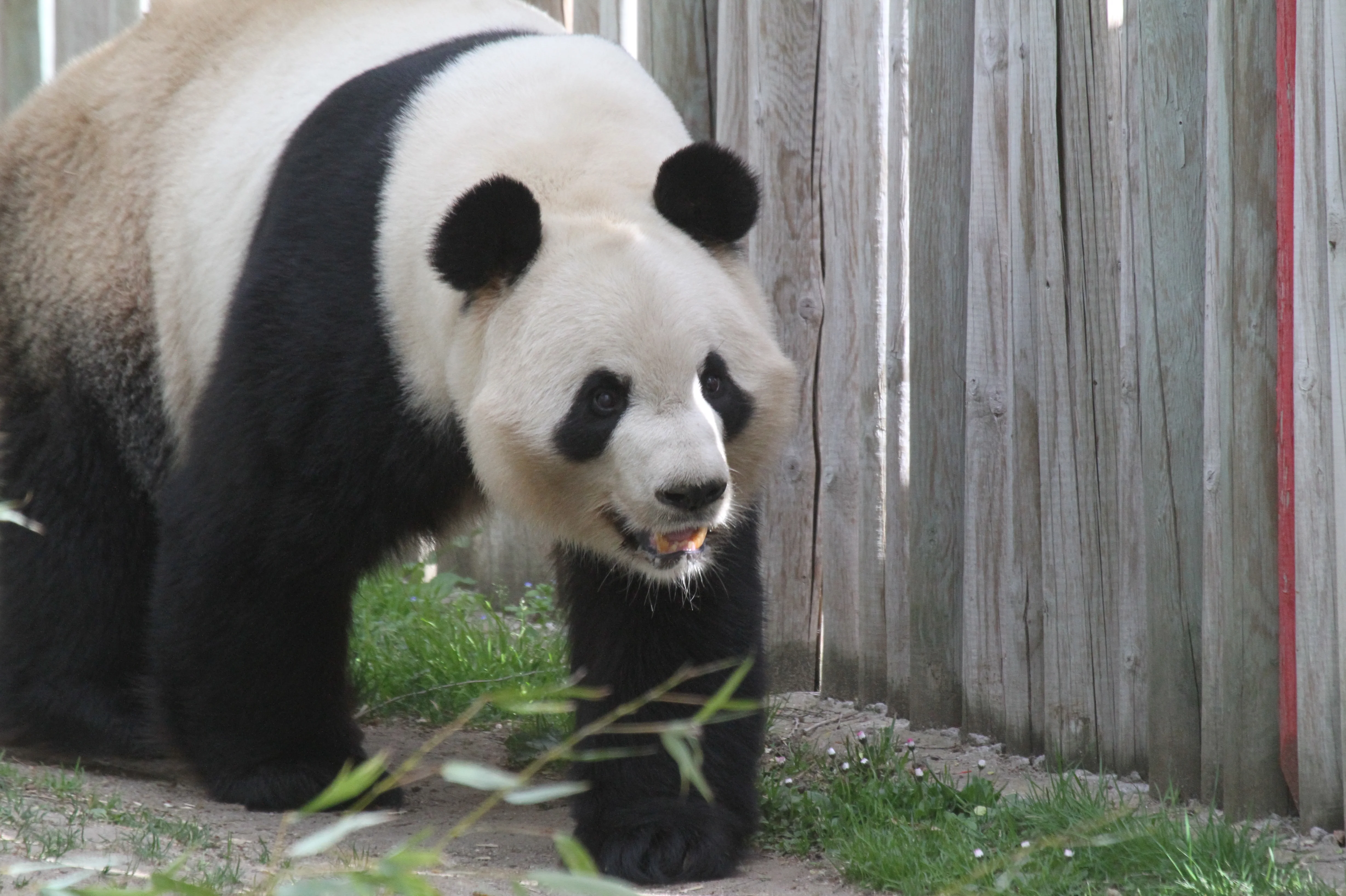 Zoo Madrid