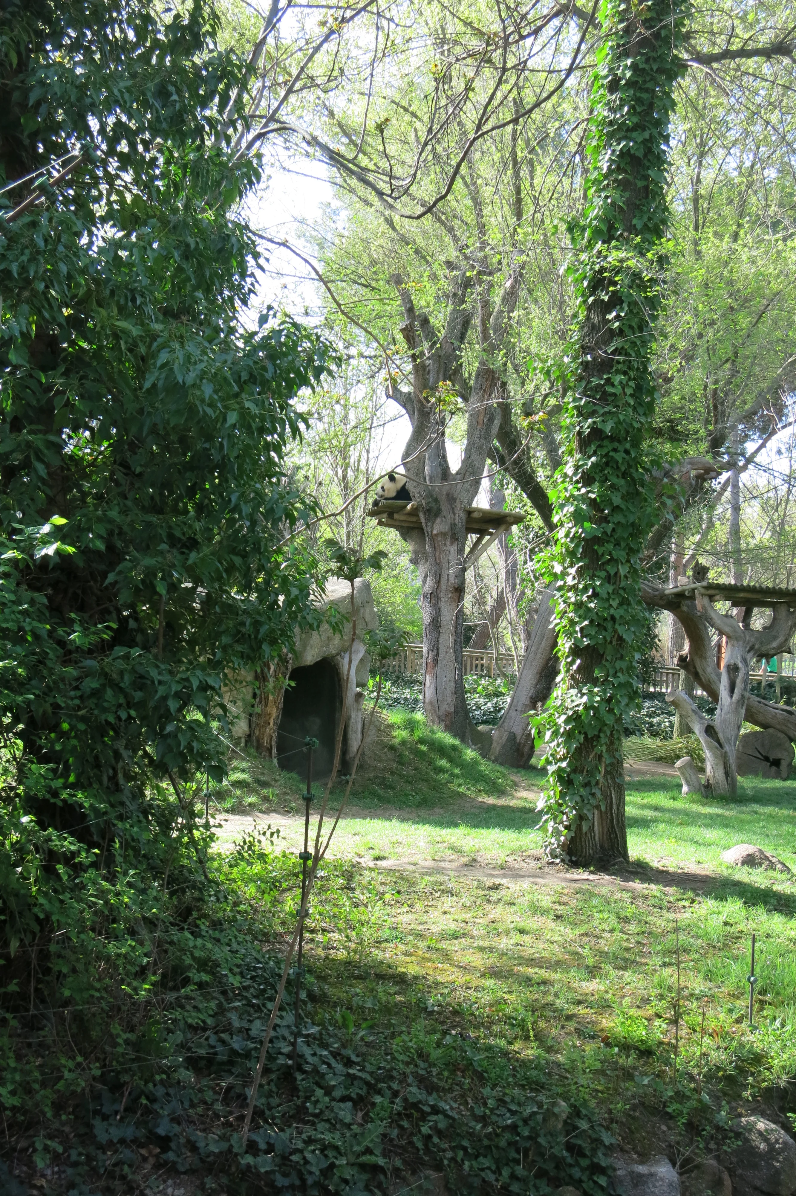 Zoo Madrid