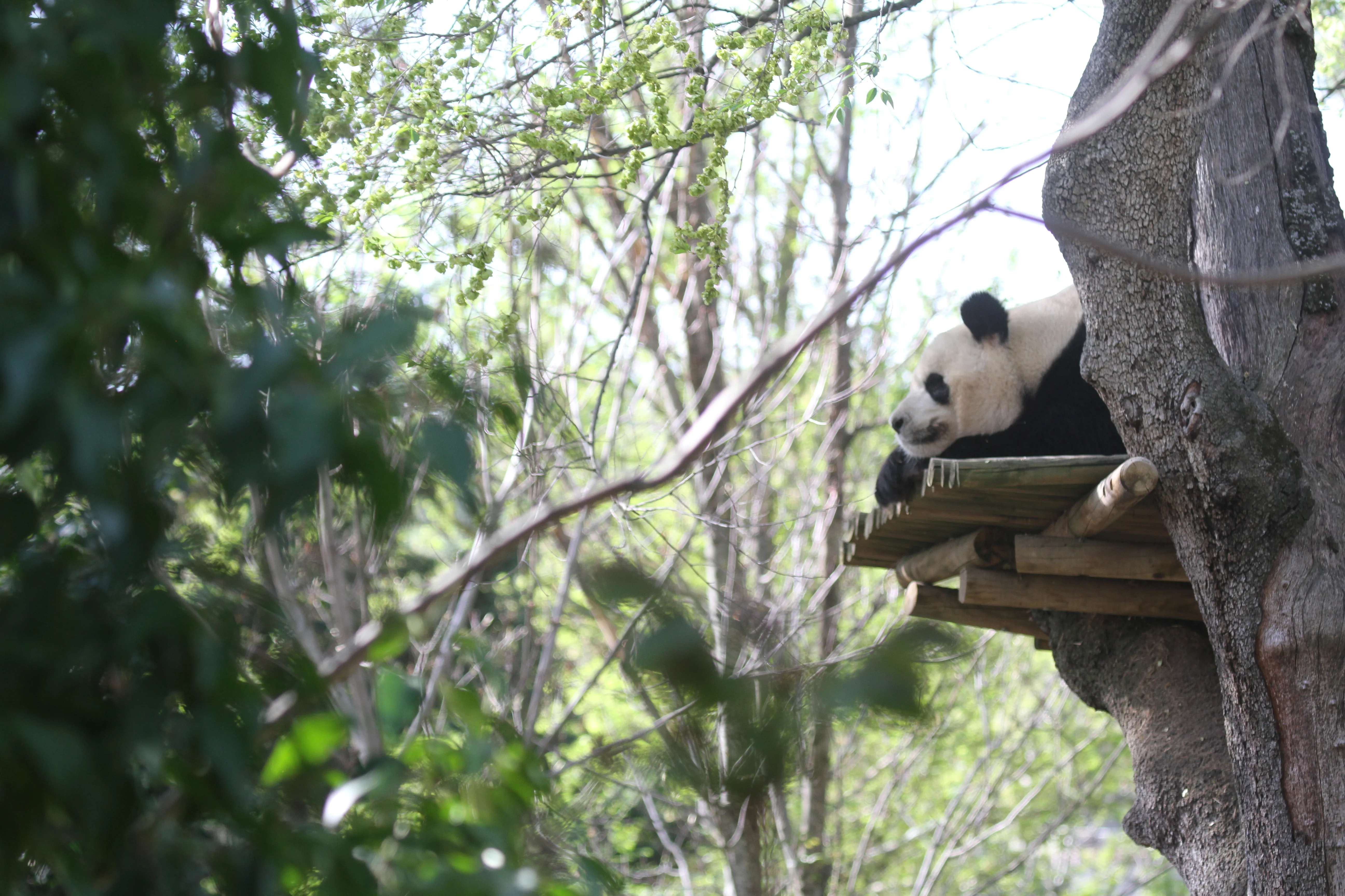 Zoo Madrid