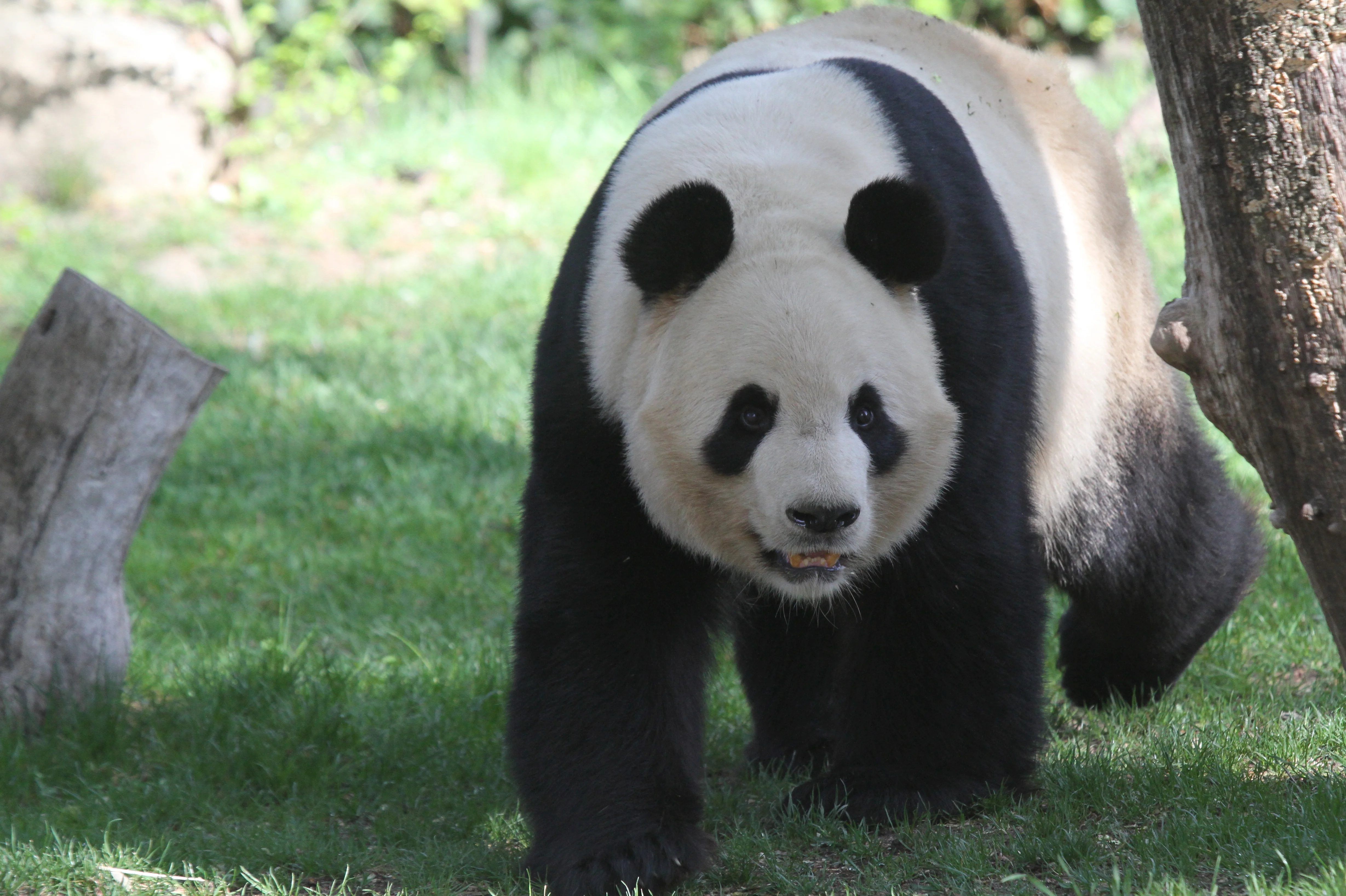 Zoo Madrid