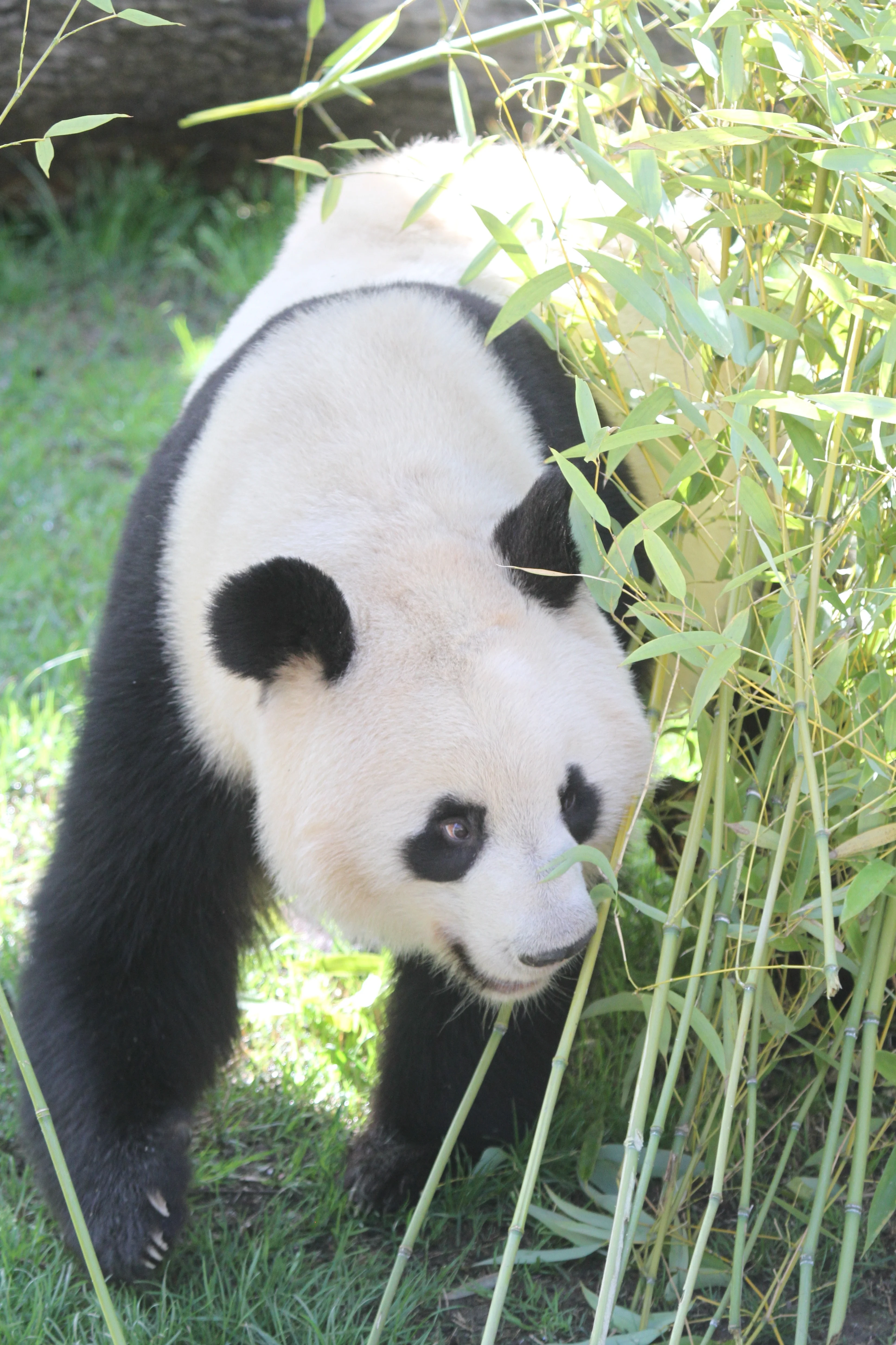 Zoo Madrid