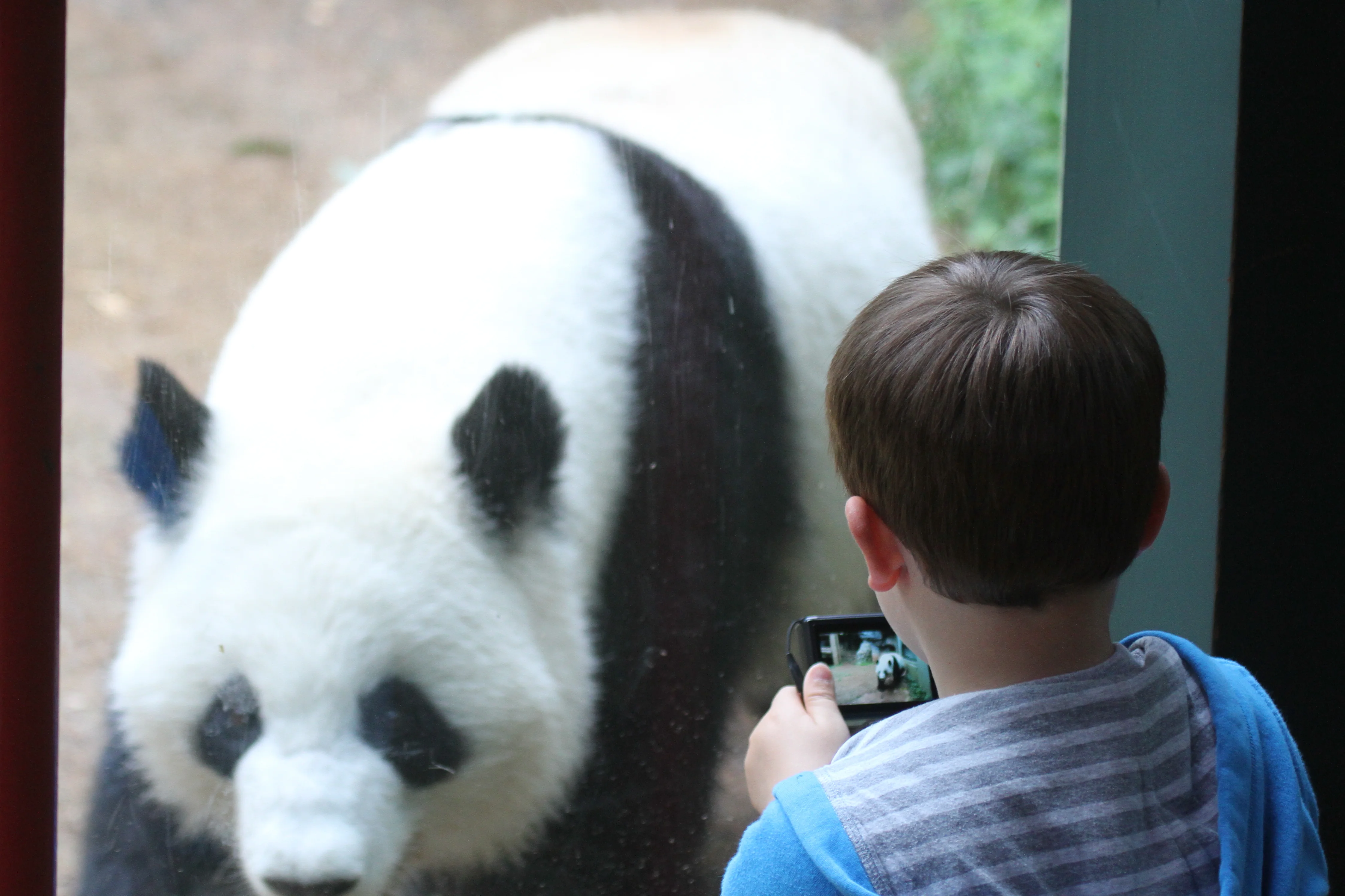 Zoo Atlanta