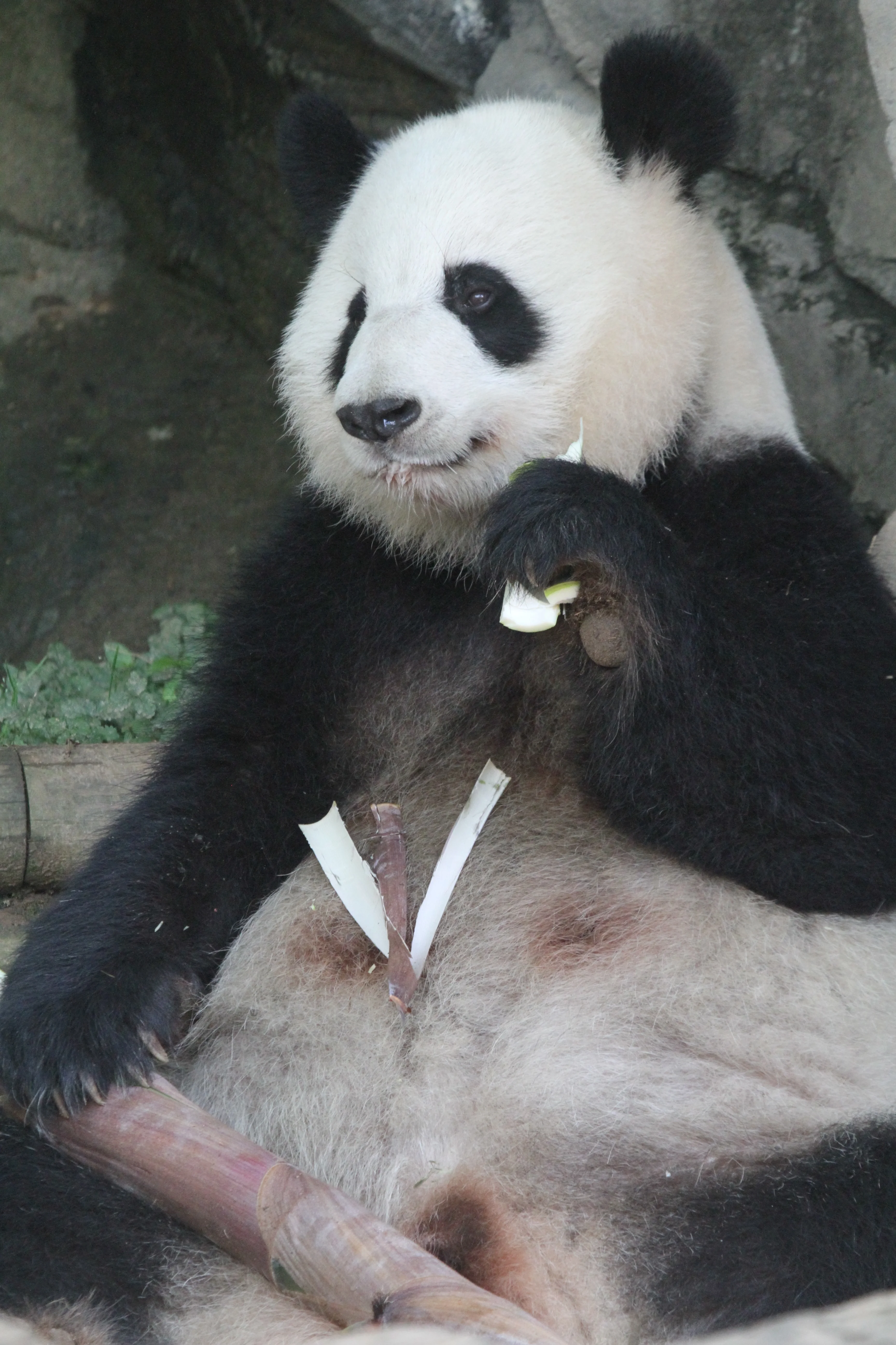 Zoo Atlanta