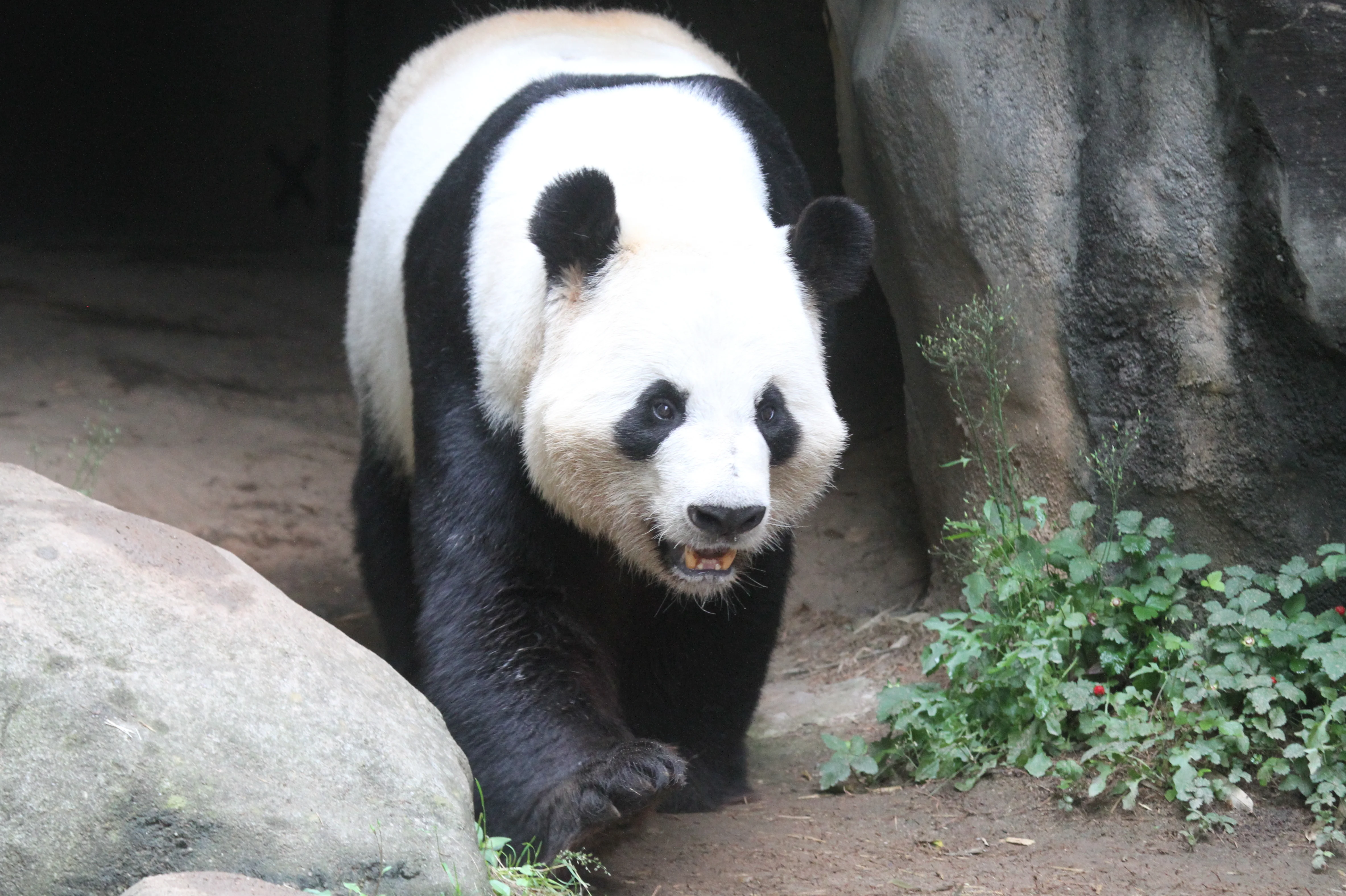 Zoo Atlanta