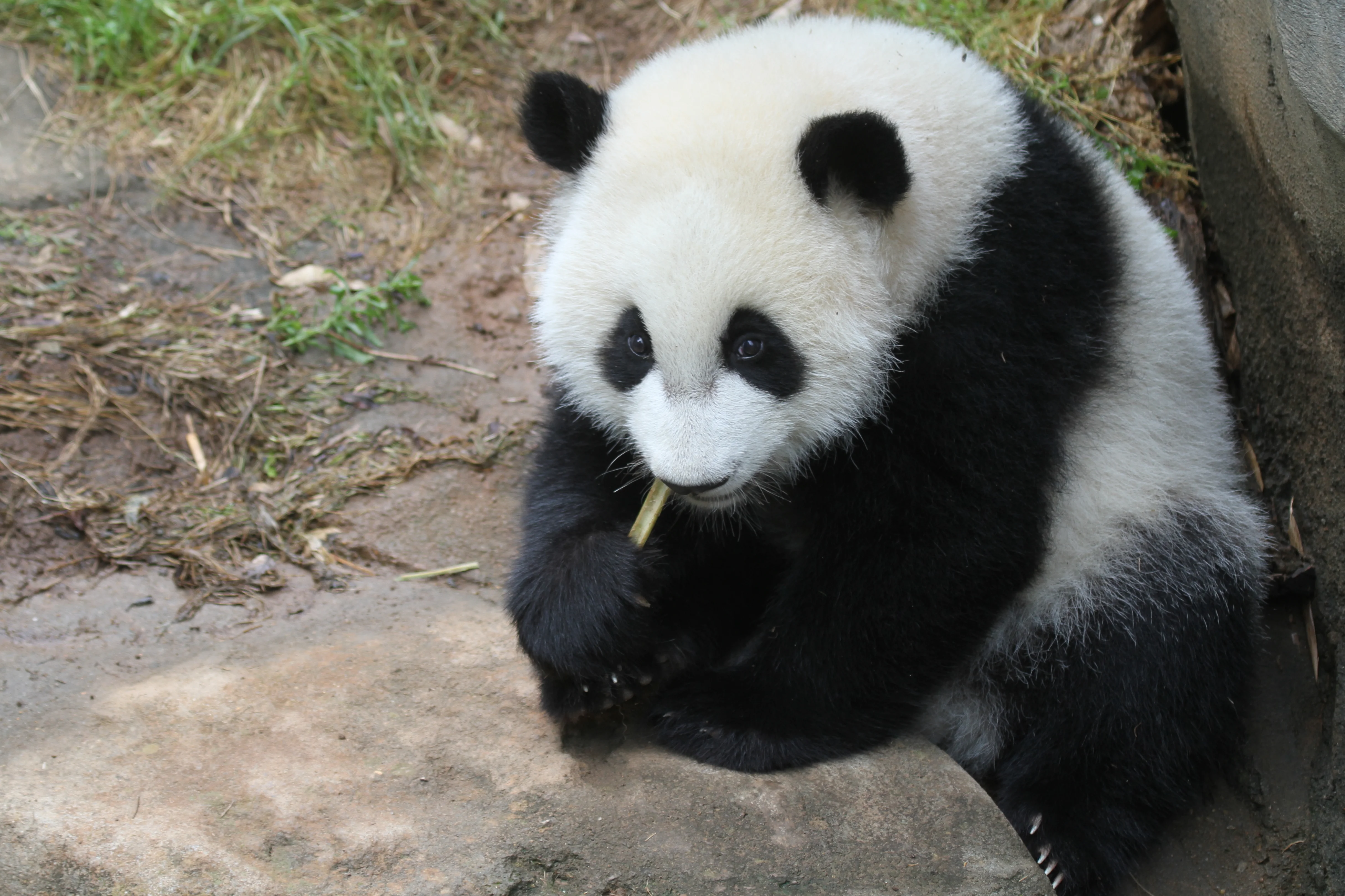 Zoo Atlanta