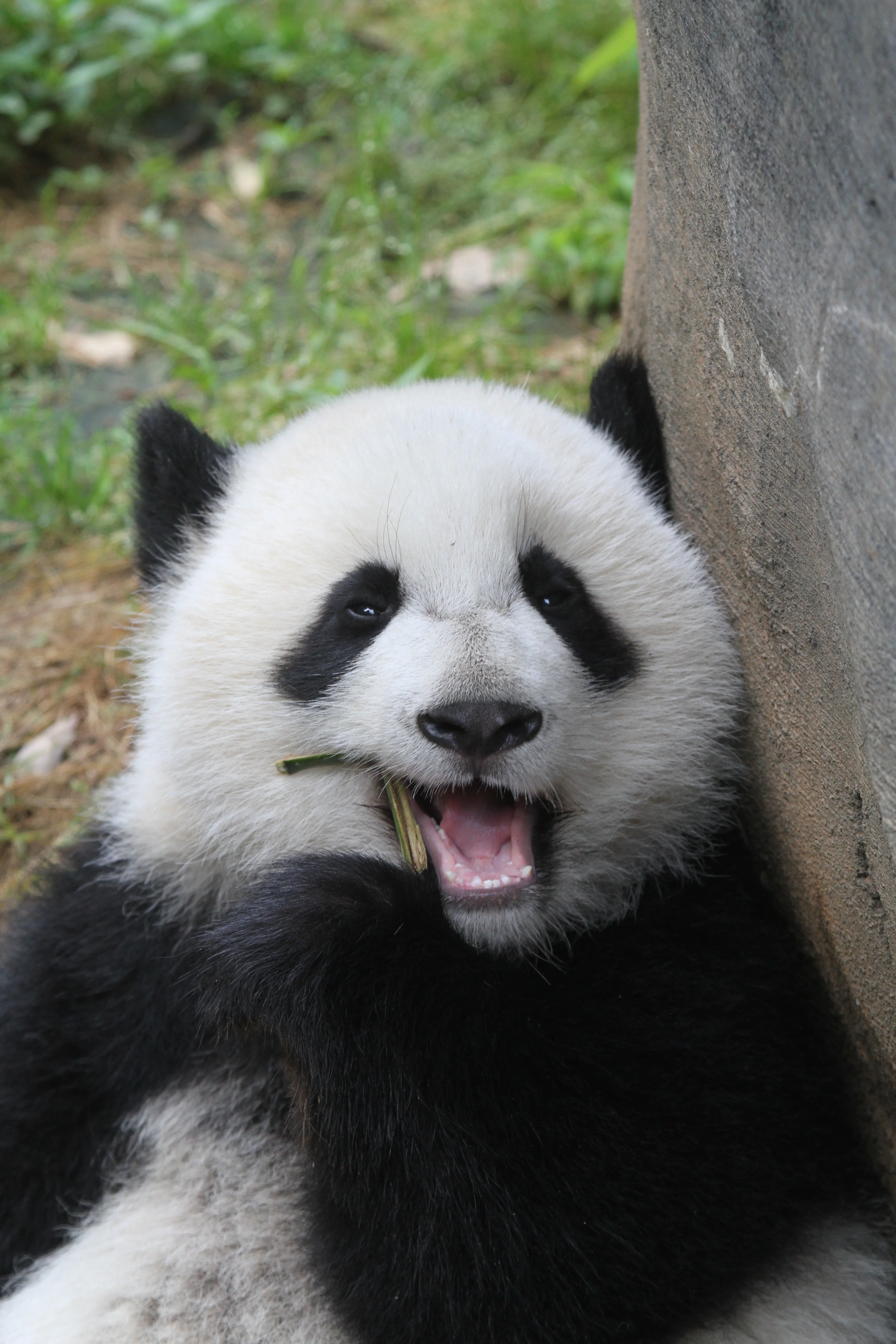 Zoo Atlanta