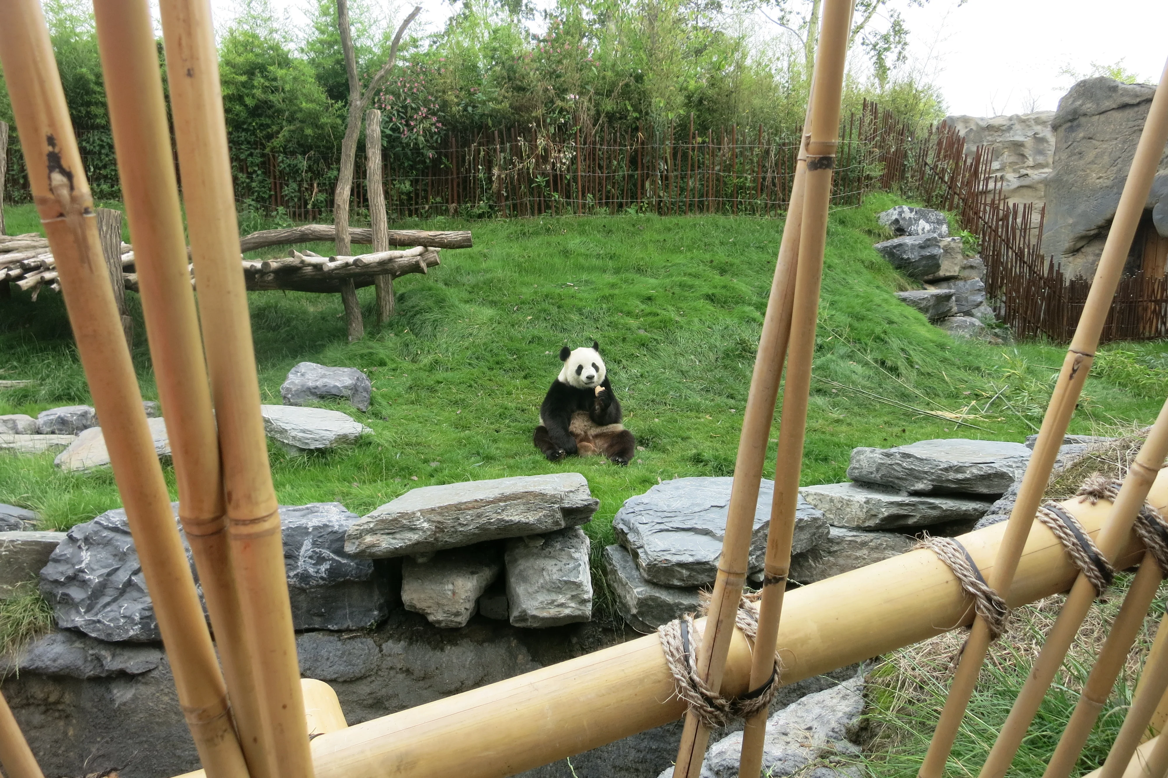 Pairi Daiza