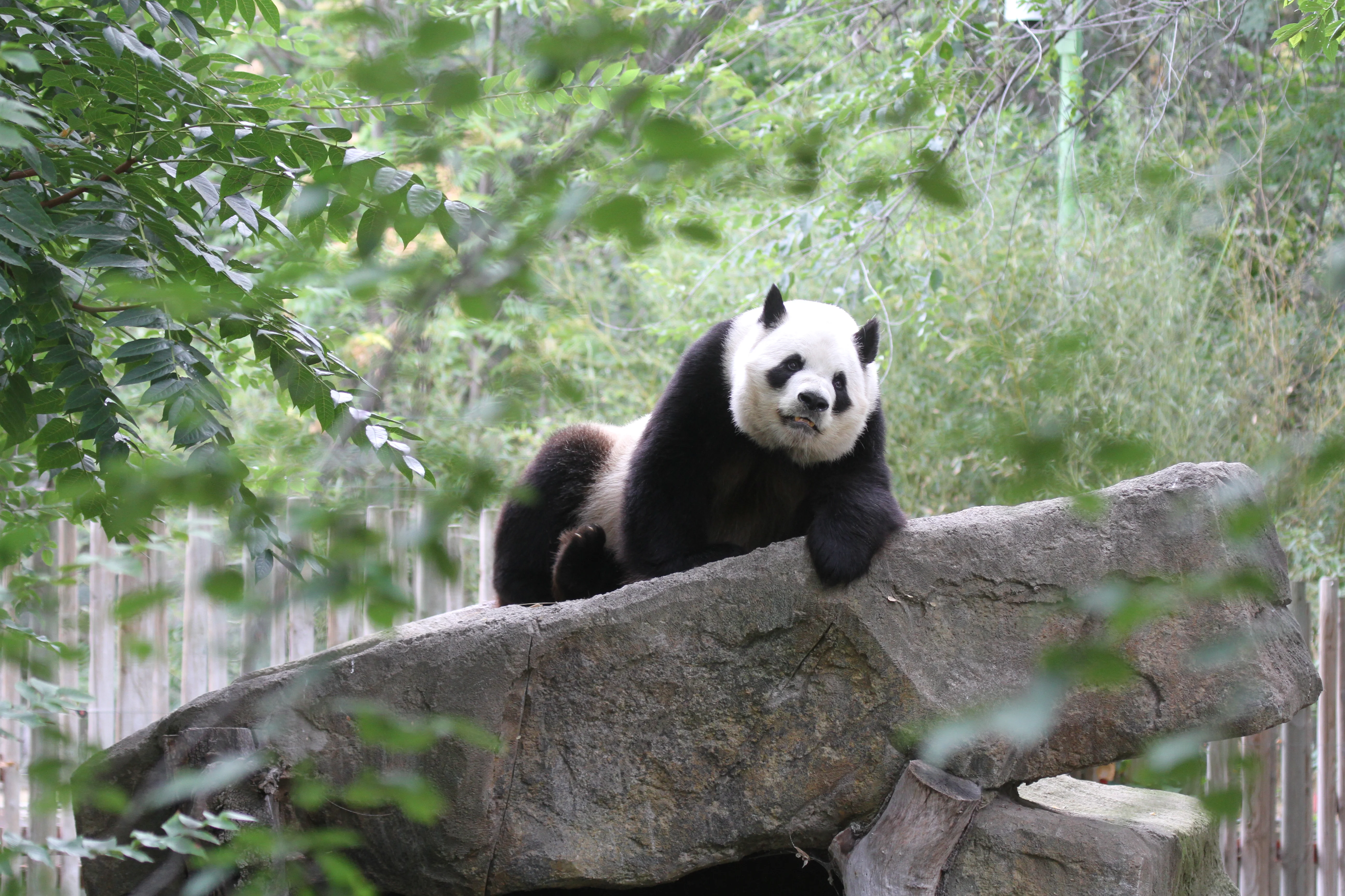 Zoo Madrid