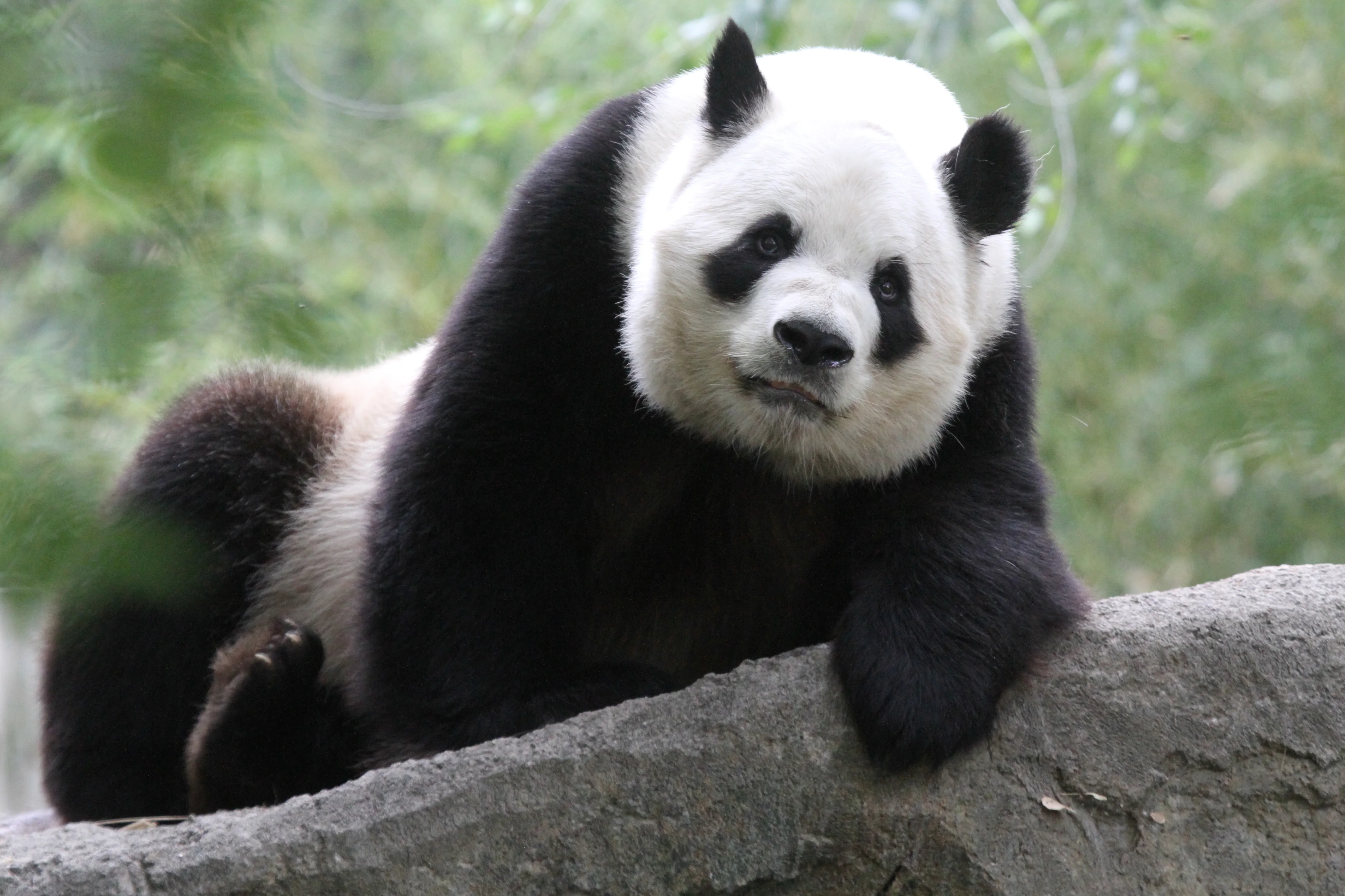 Zoo Madrid