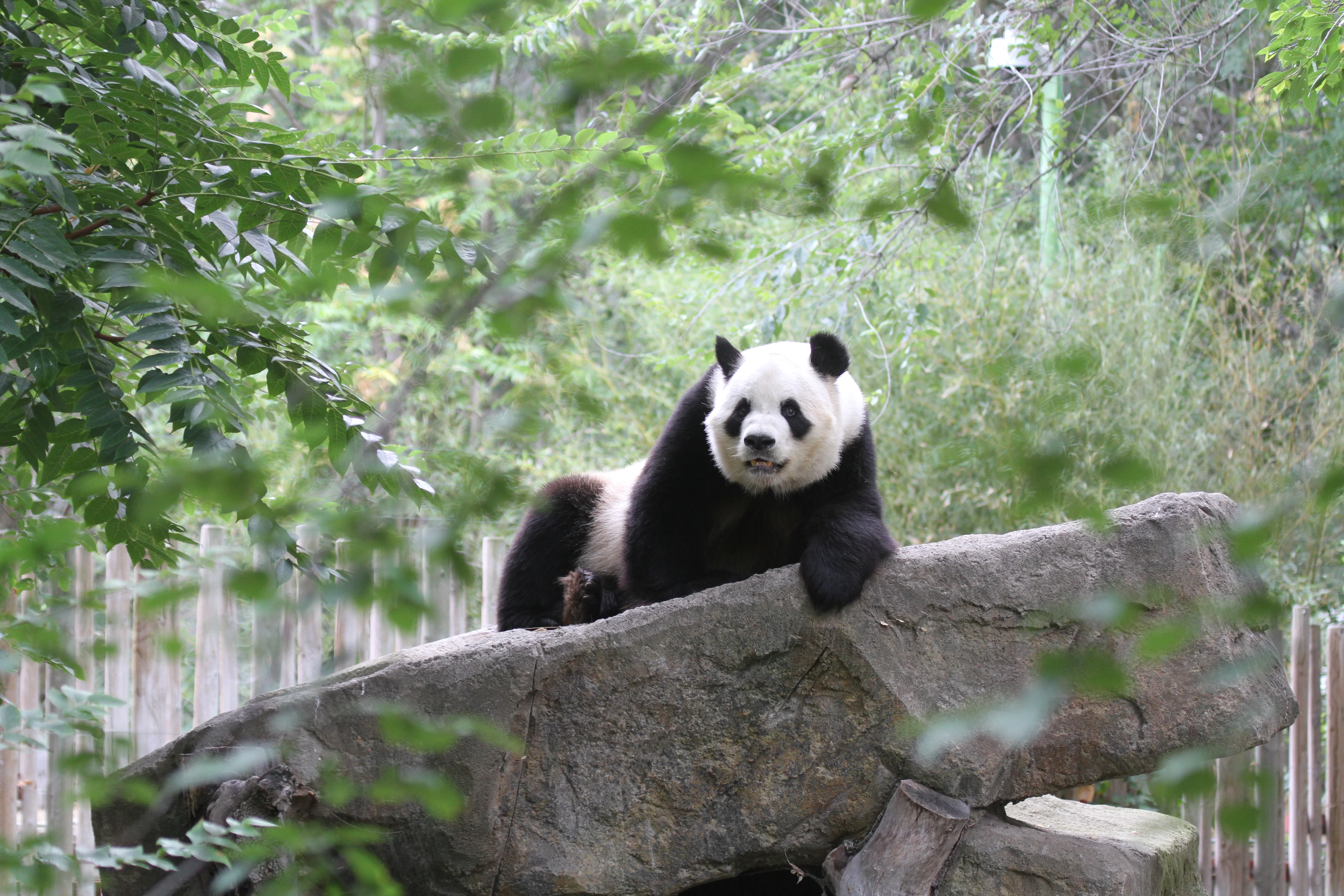 Zoo Madrid