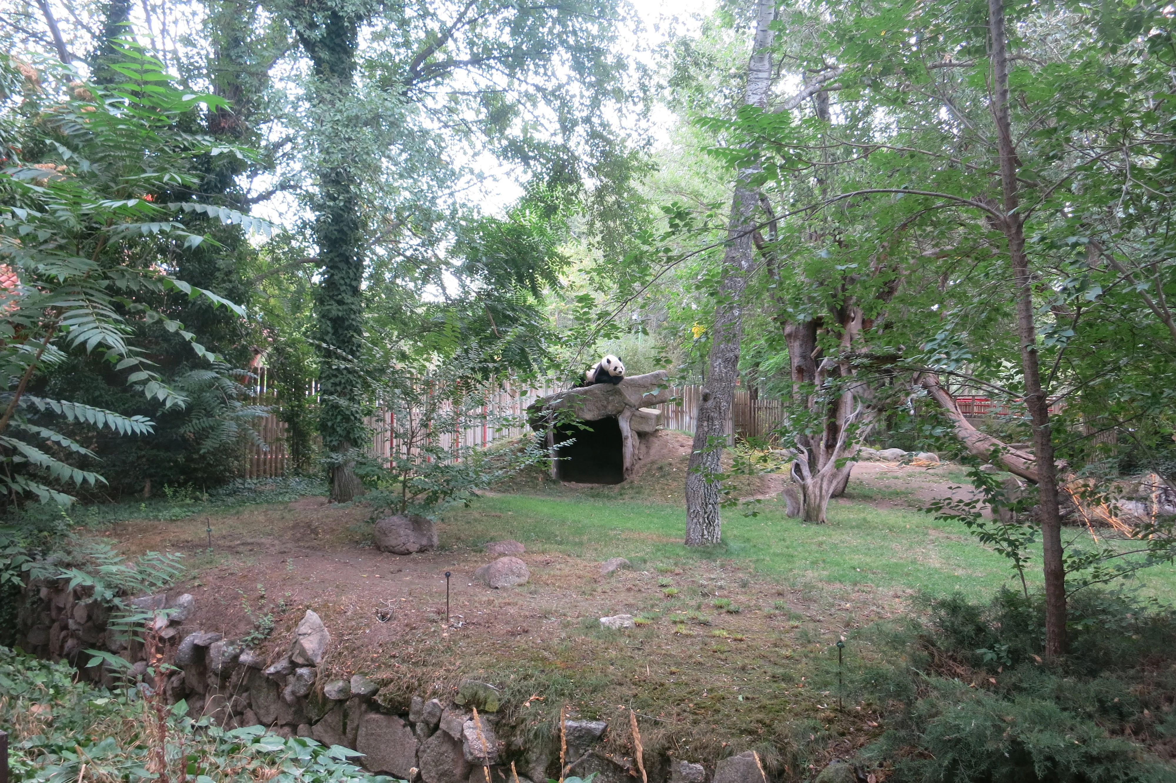 Zoo Madrid