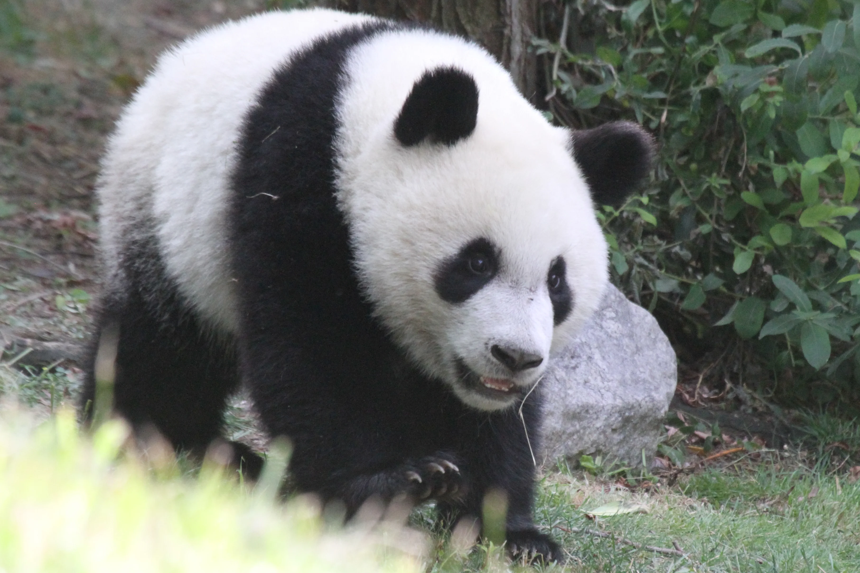 Zoo Madrid
