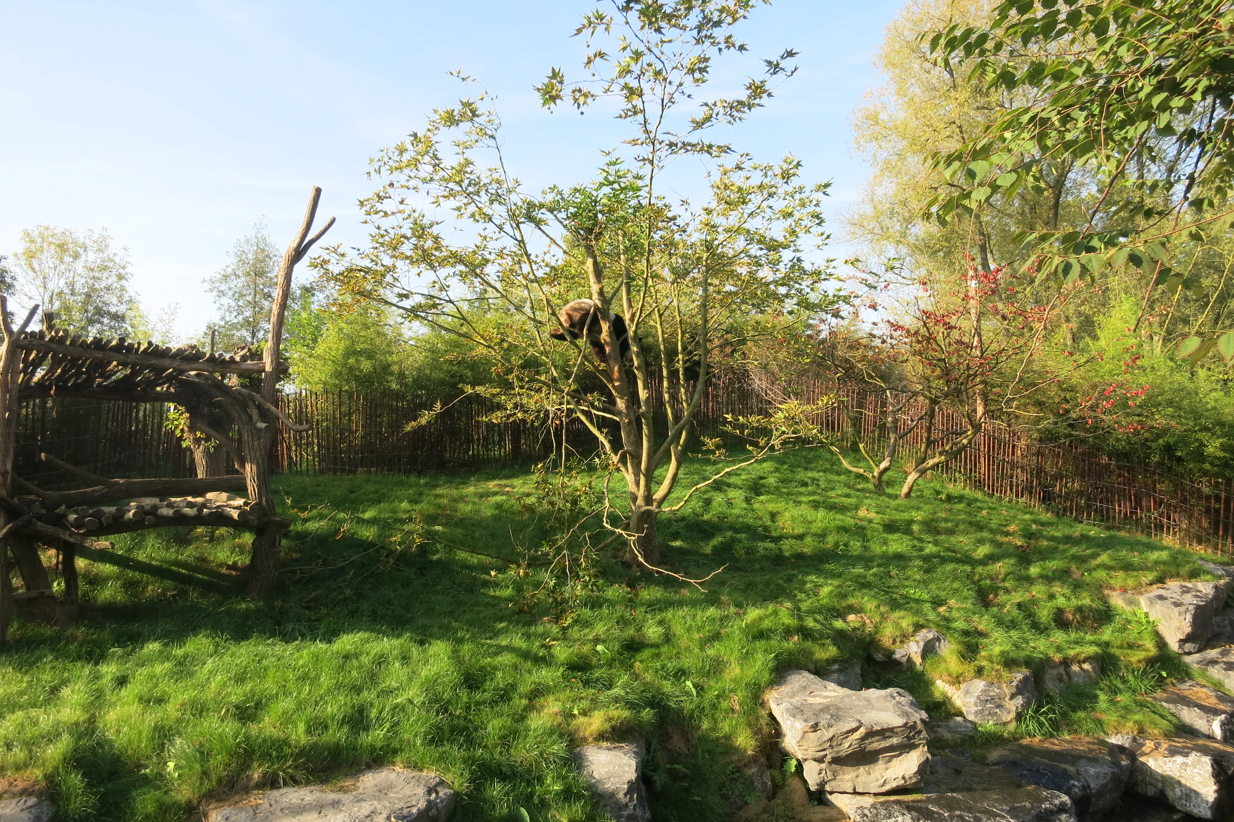 Pairi Daiza