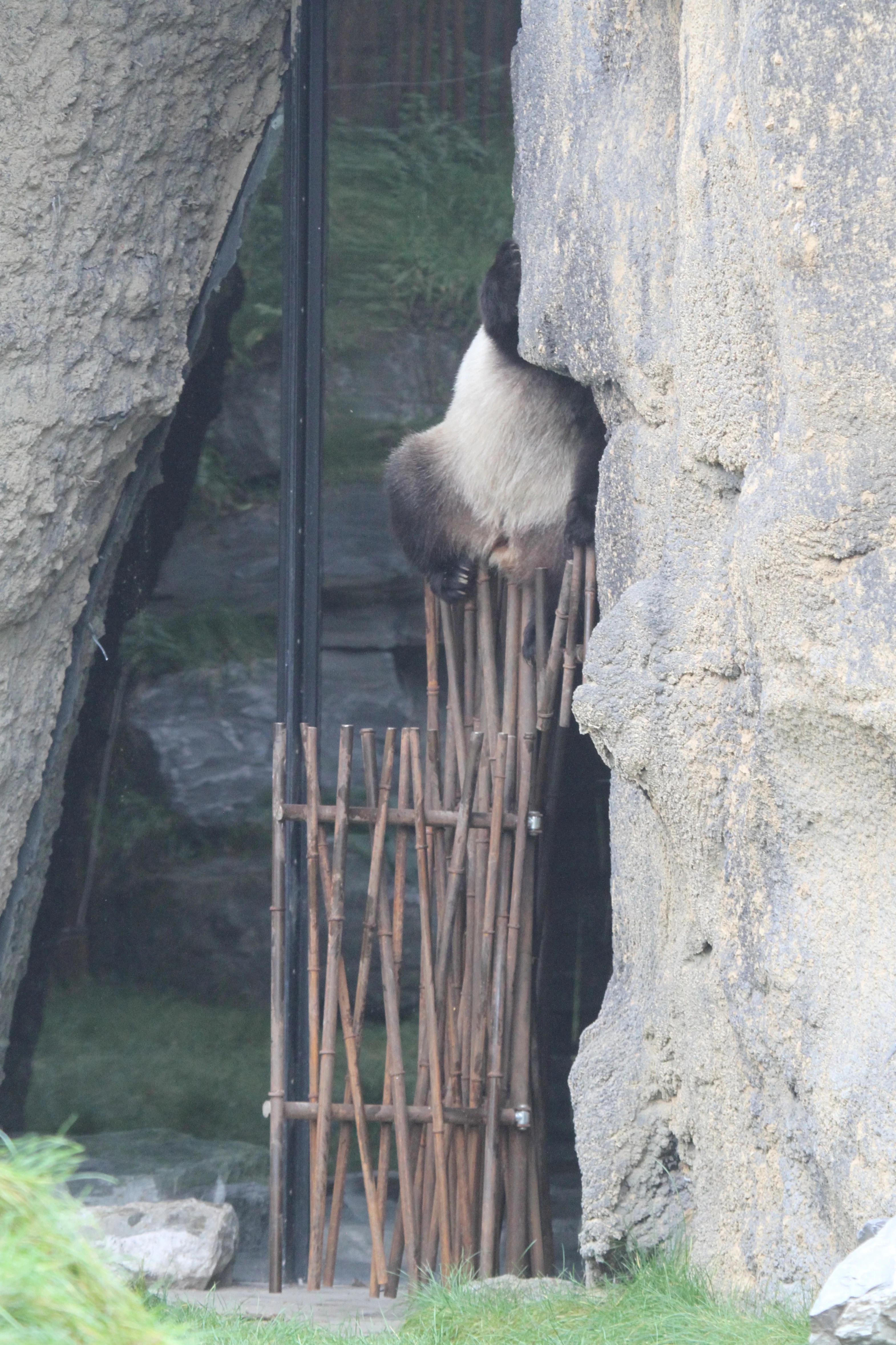 Pairi Daiza