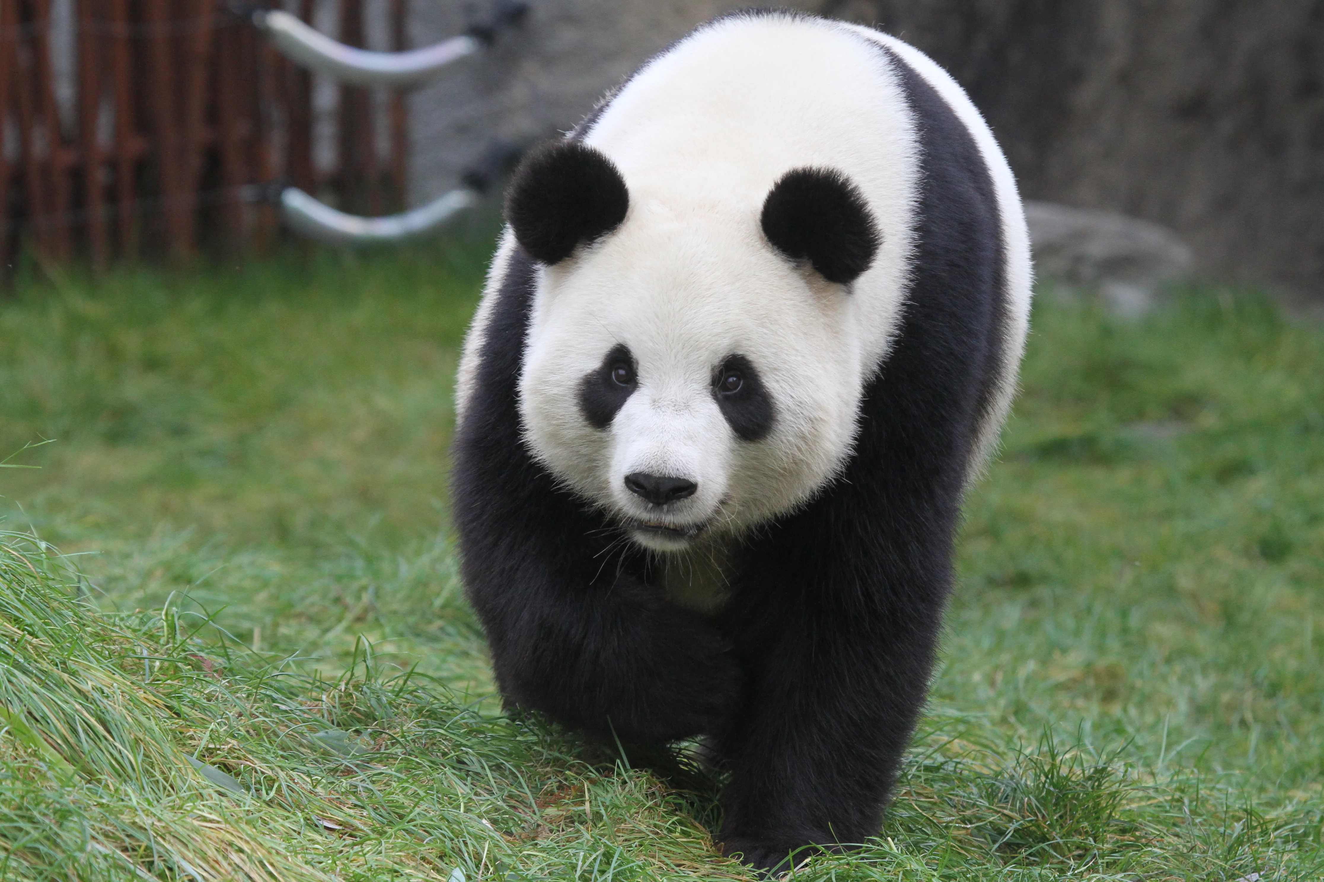 Pairi Daiza