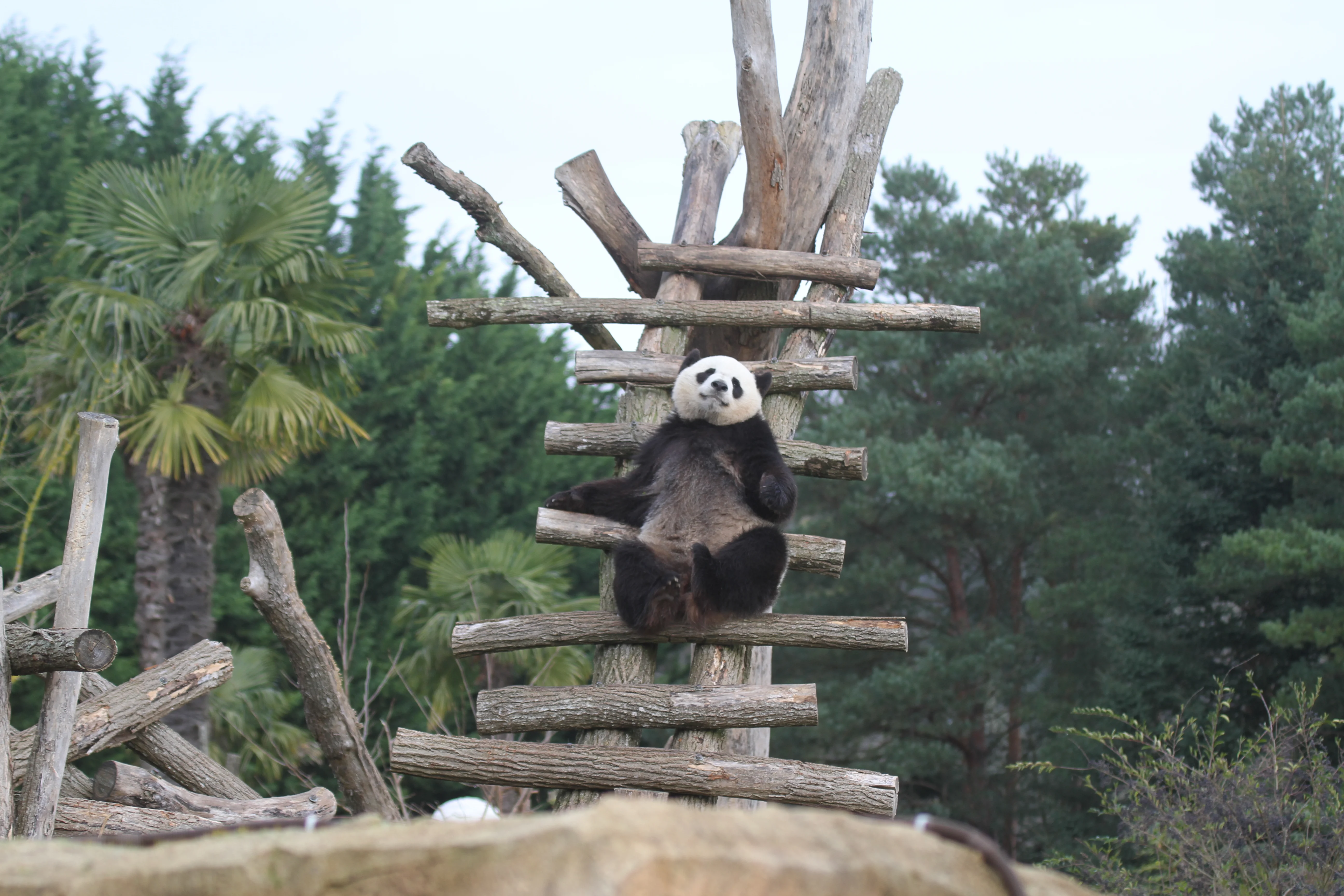 ZooParc de Beauval