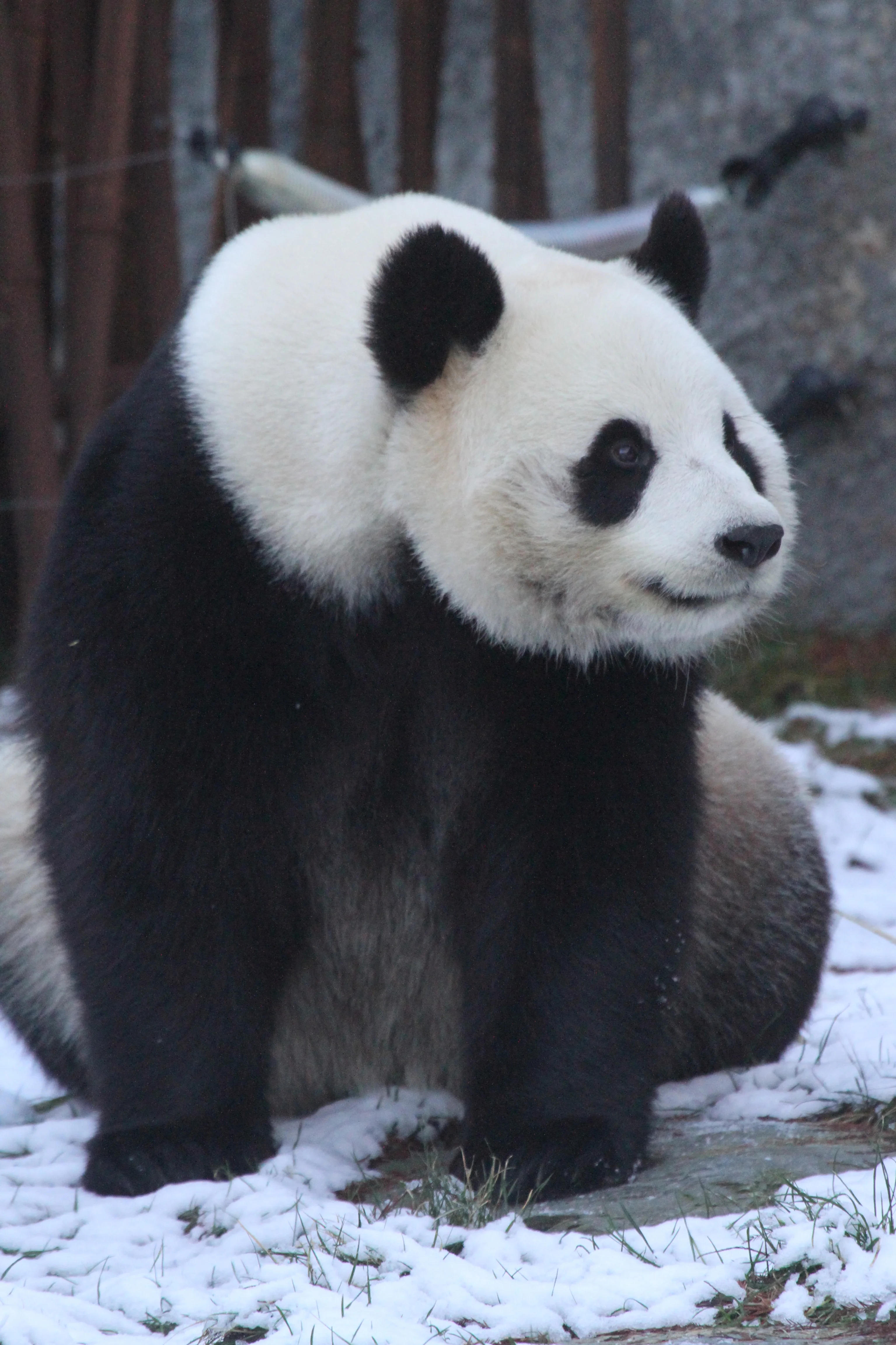 Pairi Daiza