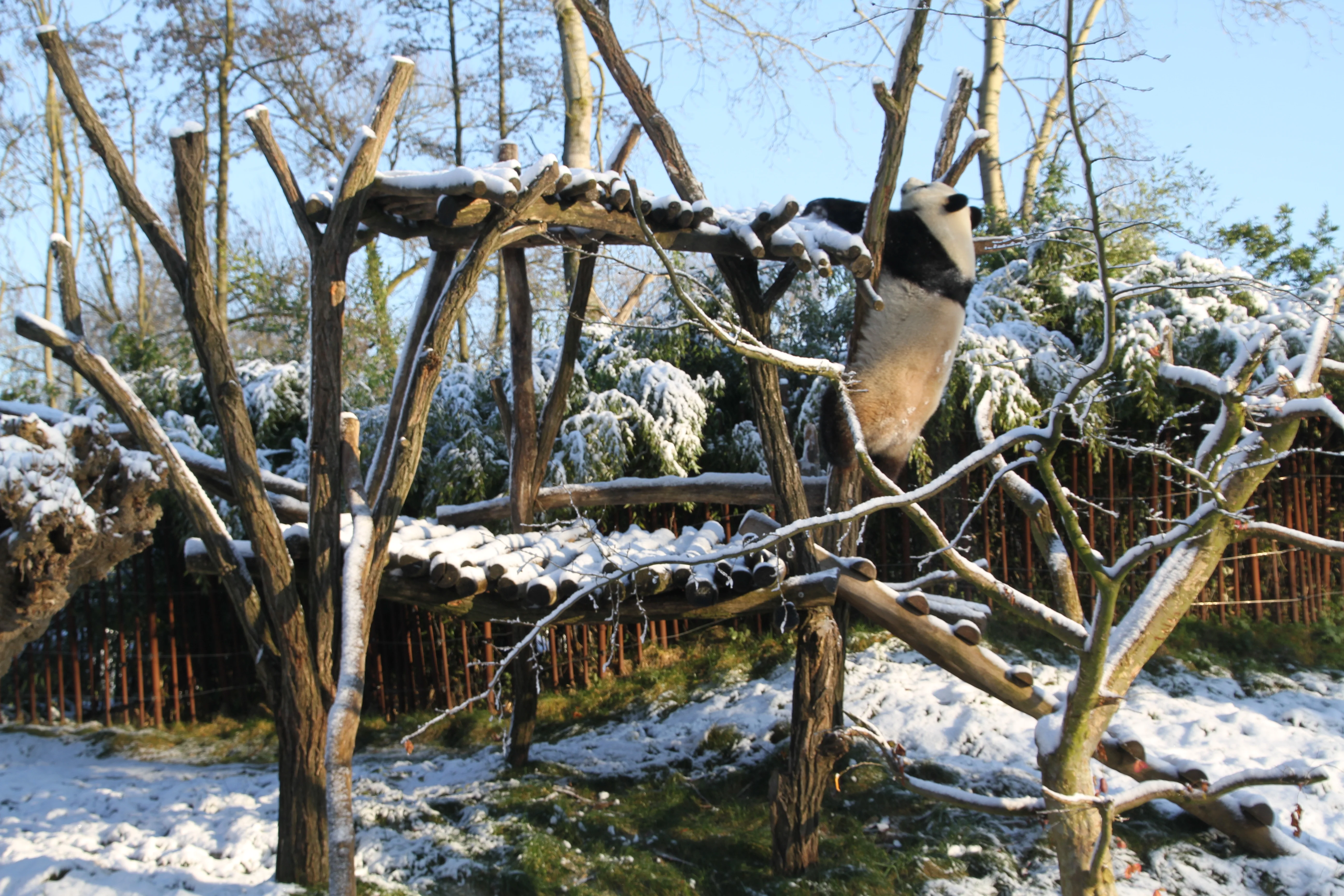 Pairi Daiza