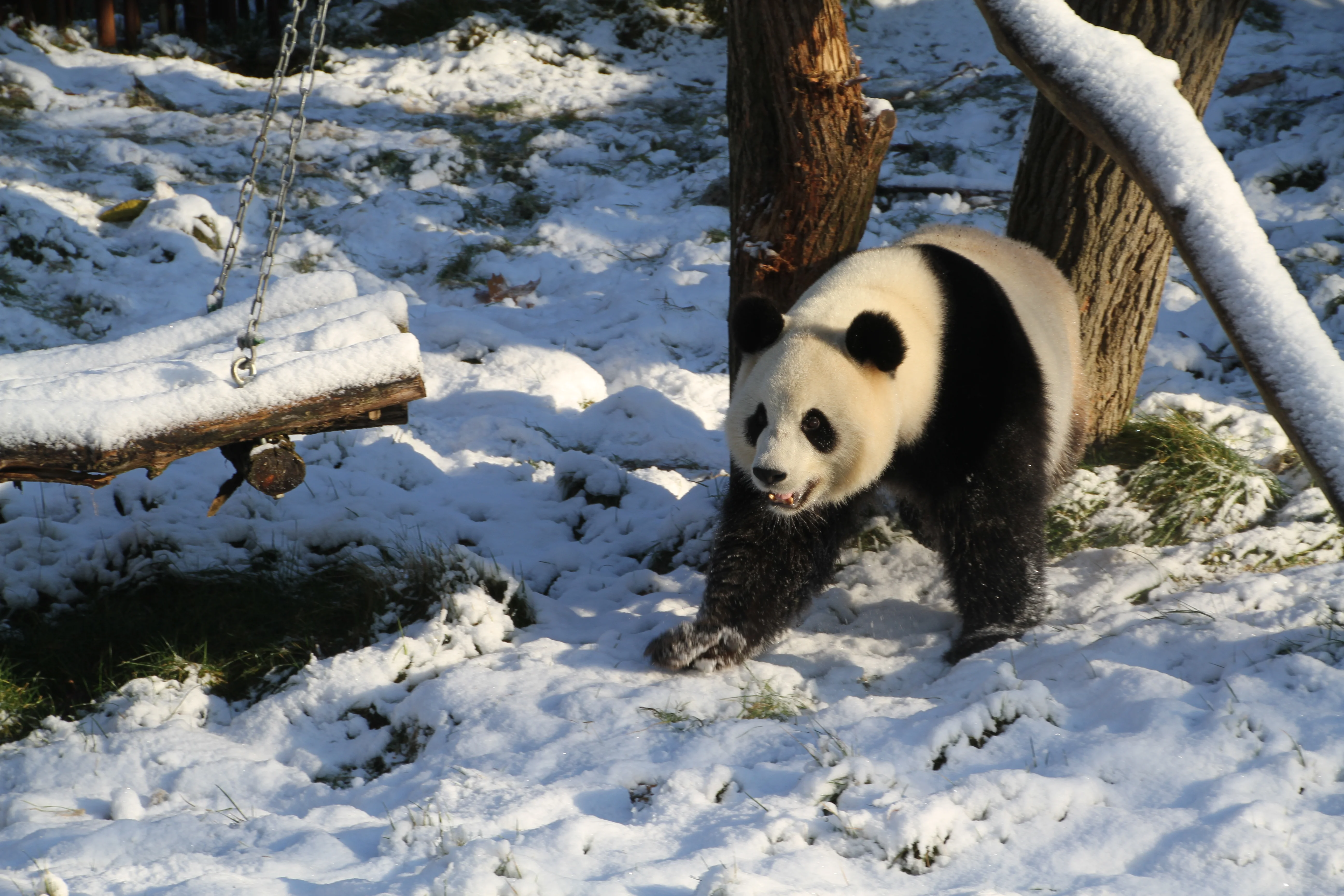 Pairi Daiza