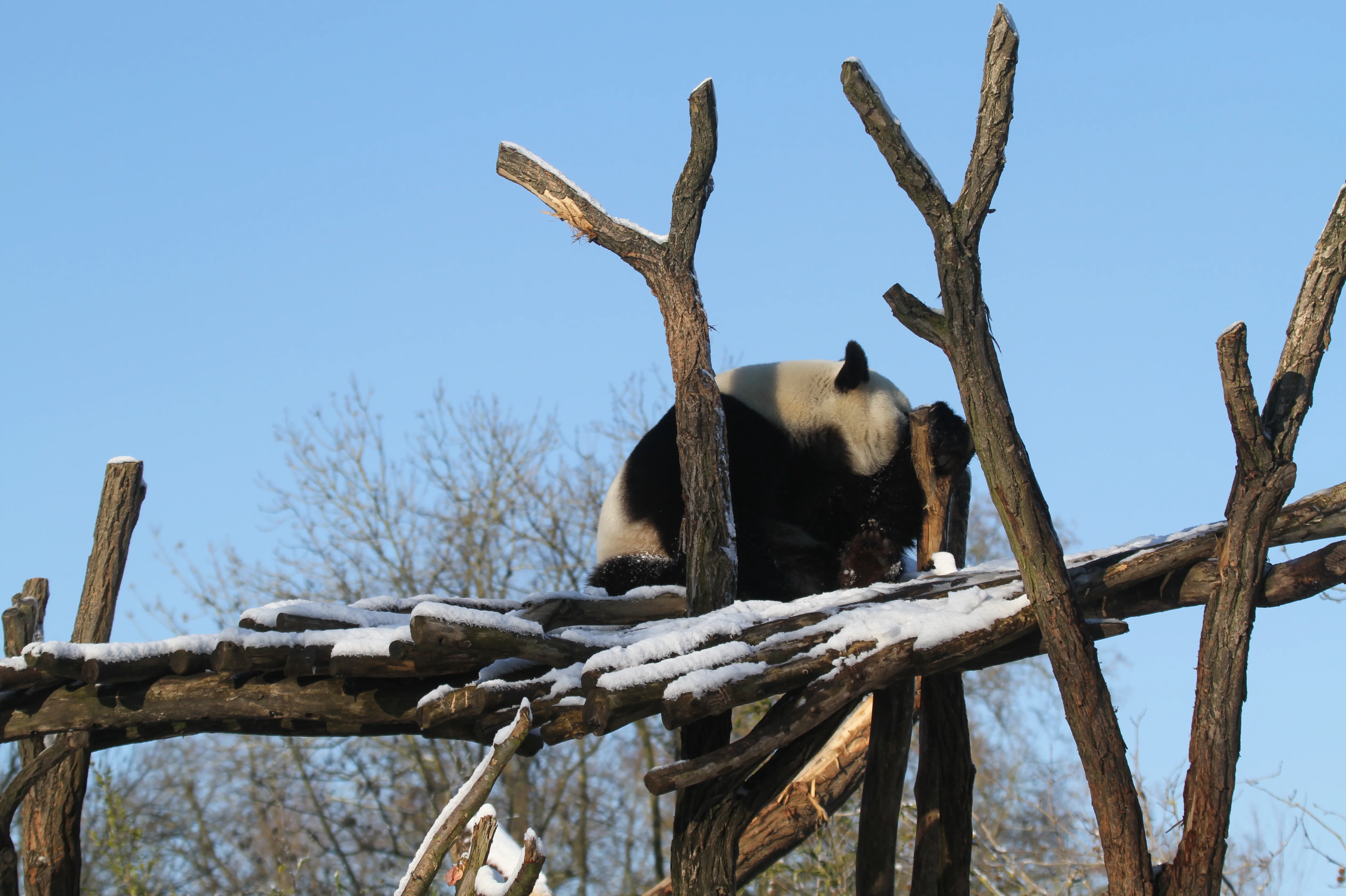 Pairi Daiza