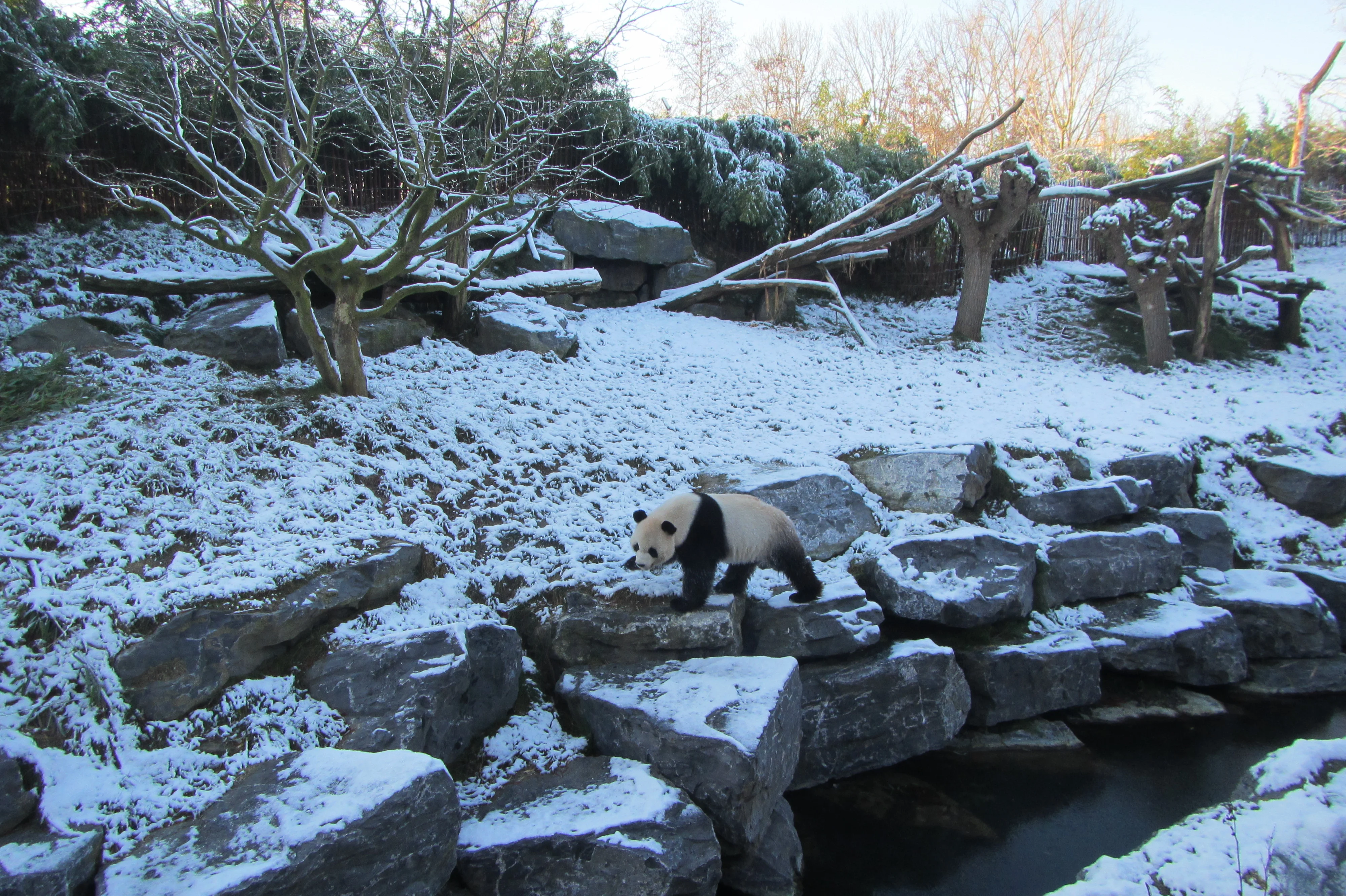 Pairi Daiza