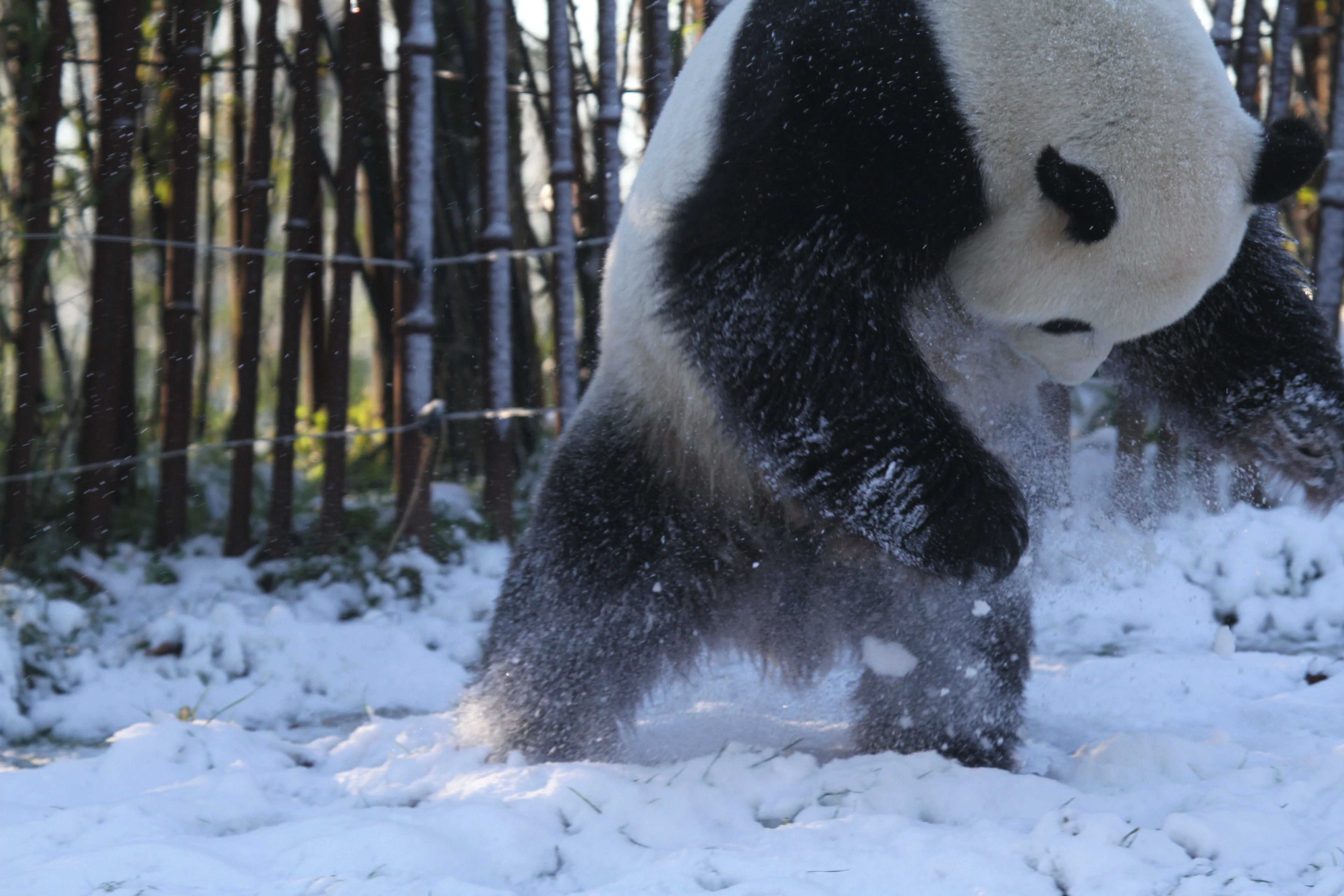 Pairi Daiza