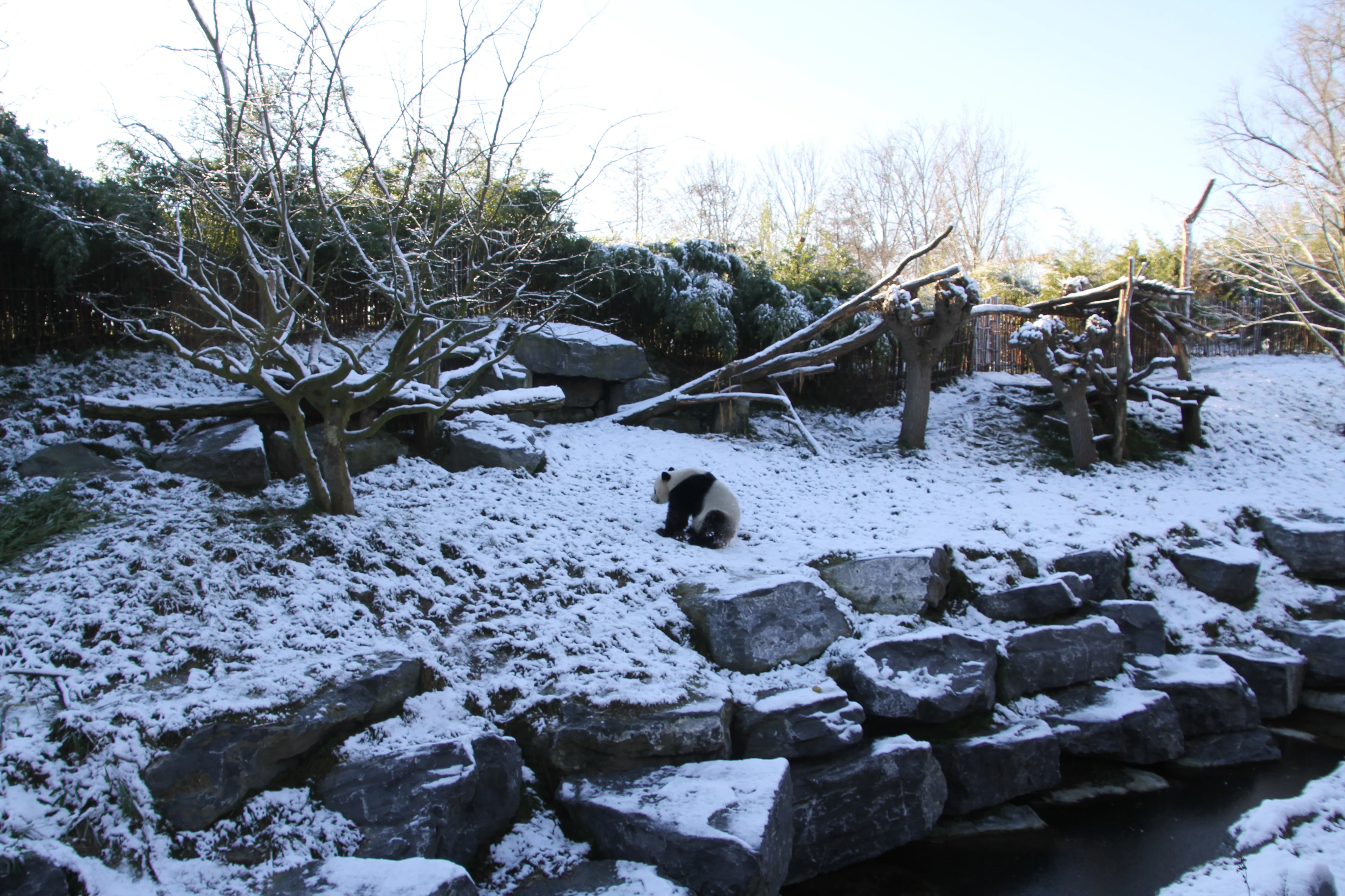 Pairi Daiza