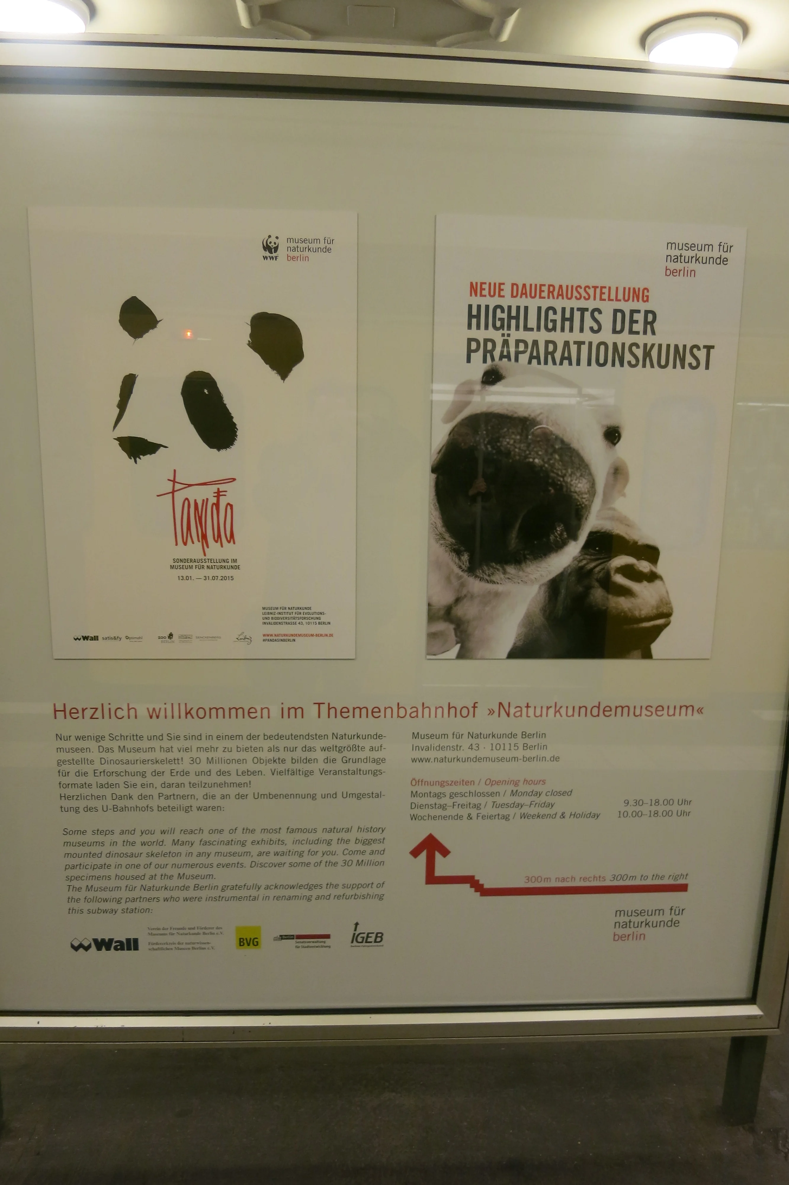Museum für Naturkunde Berlin