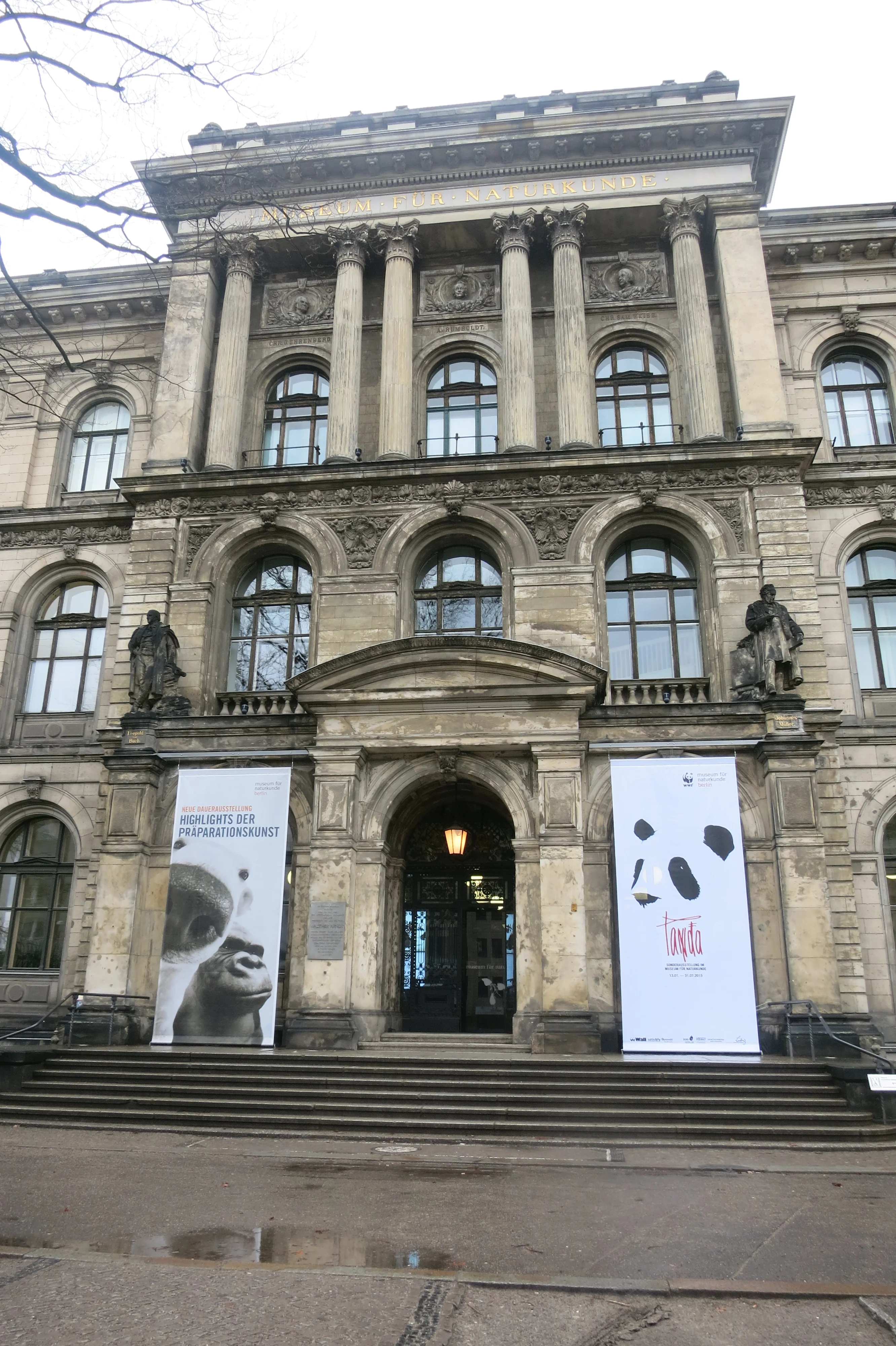 Museum für Naturkunde Berlin