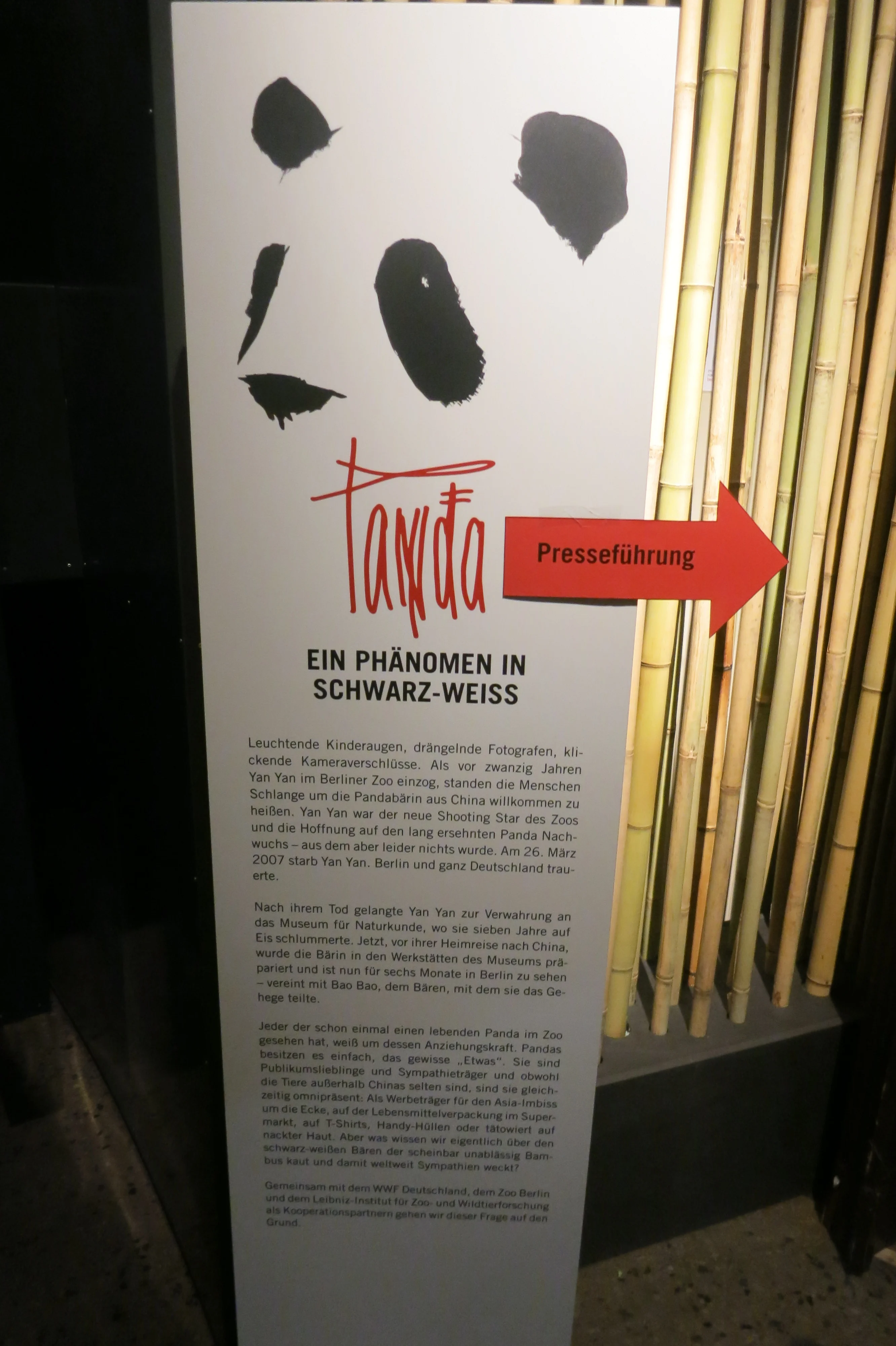 Museum für Naturkunde Berlin