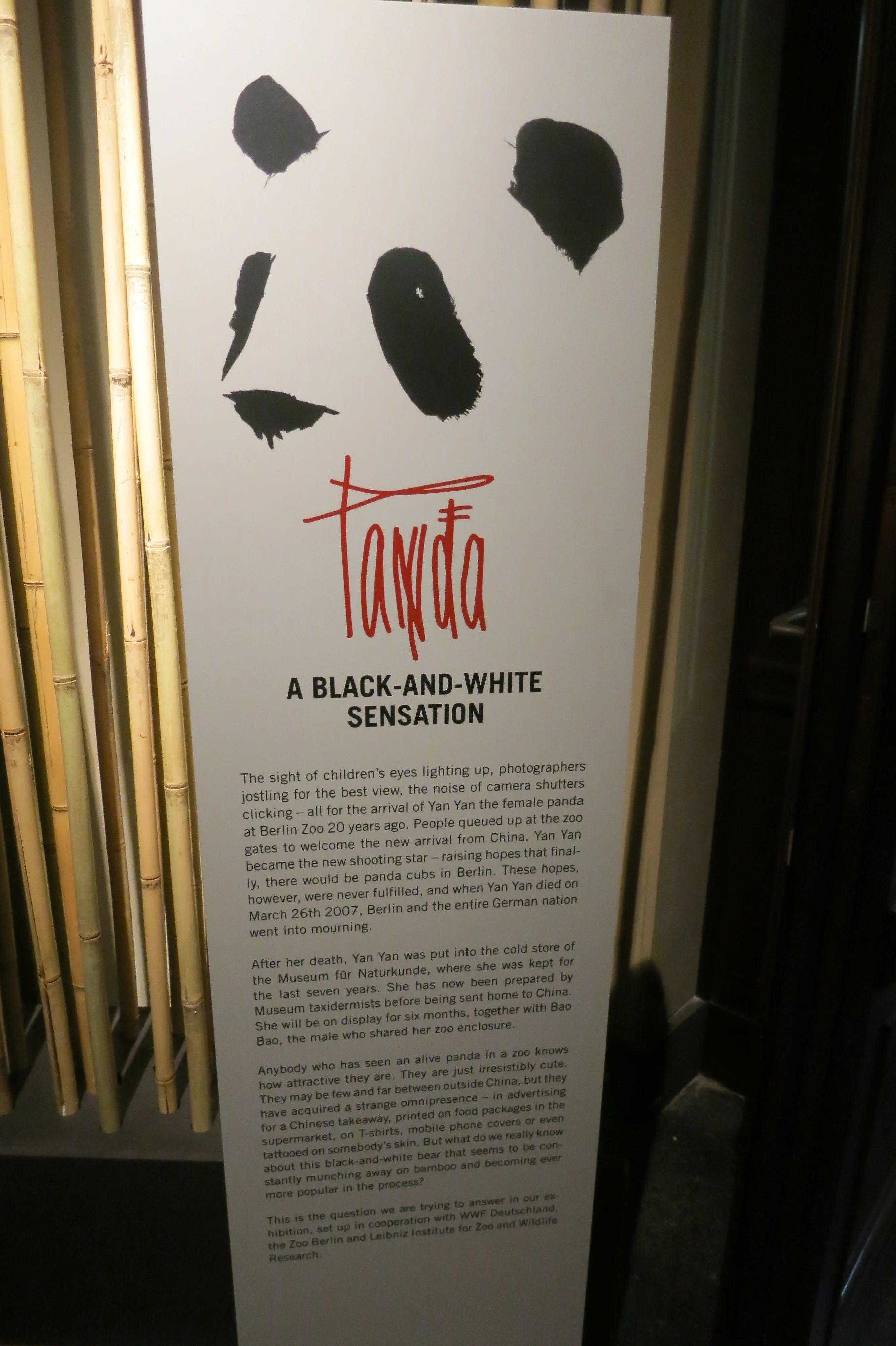 Museum für Naturkunde Berlin