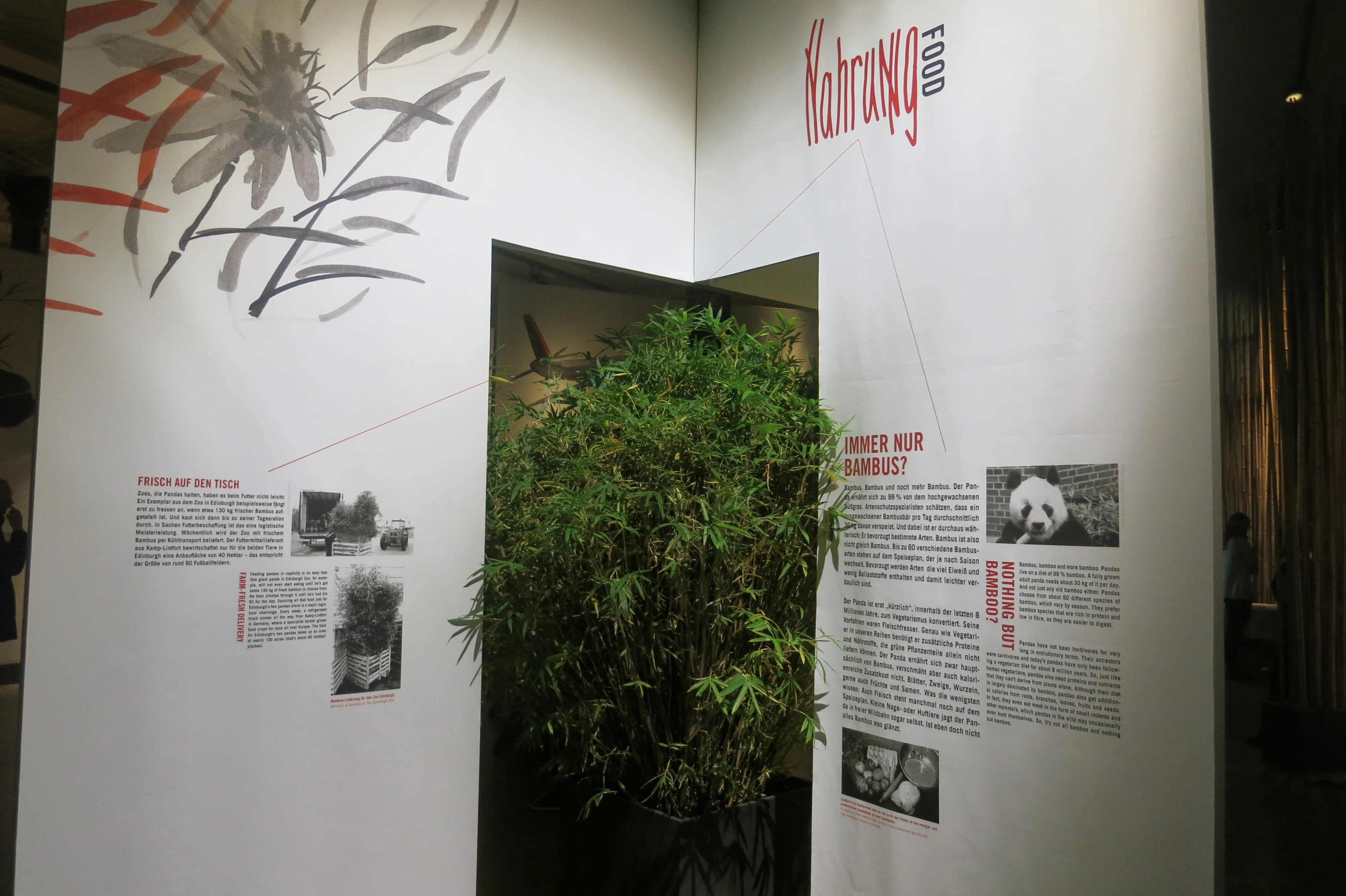 Museum für Naturkunde Berlin