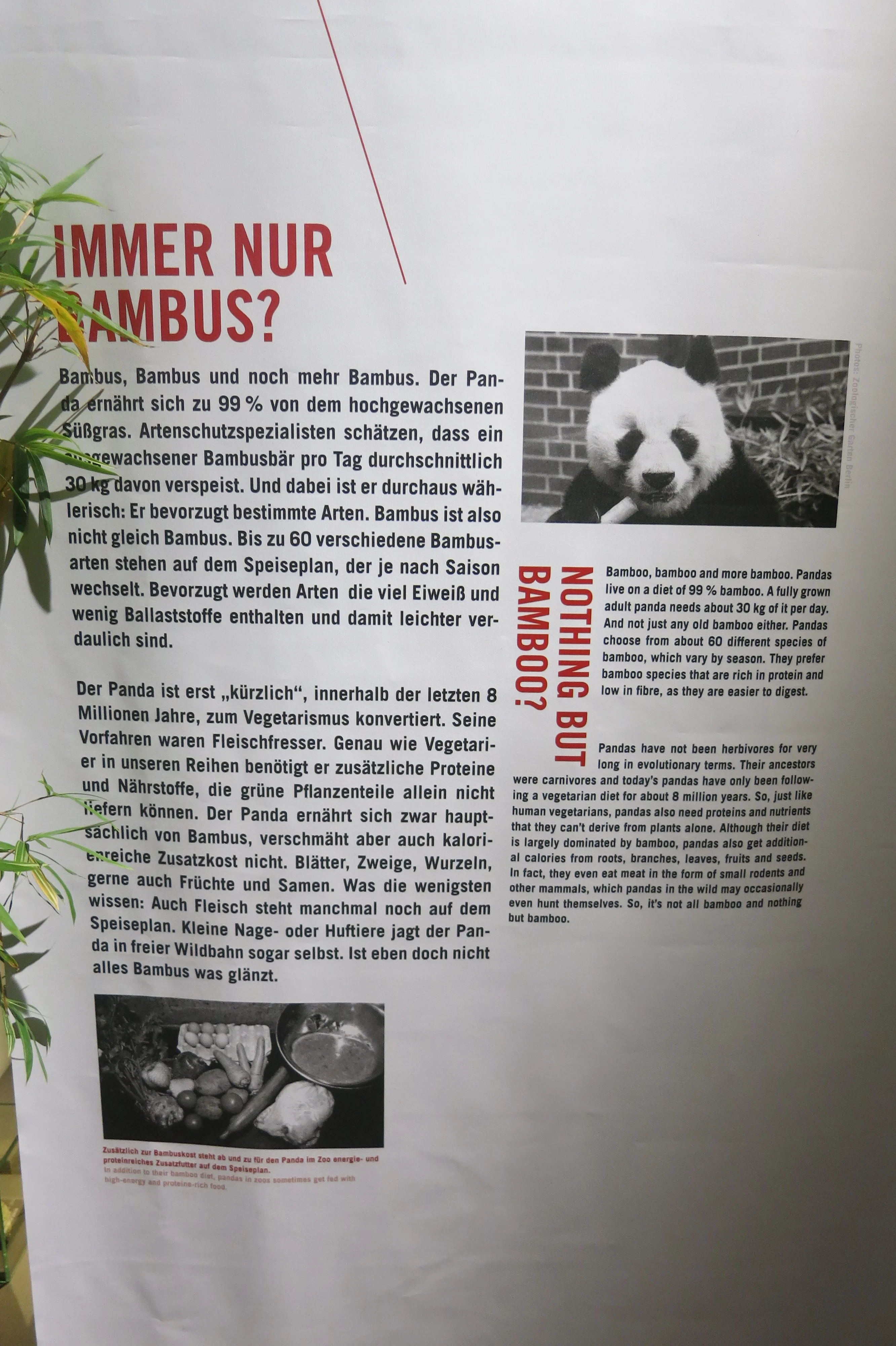 Museum für Naturkunde Berlin