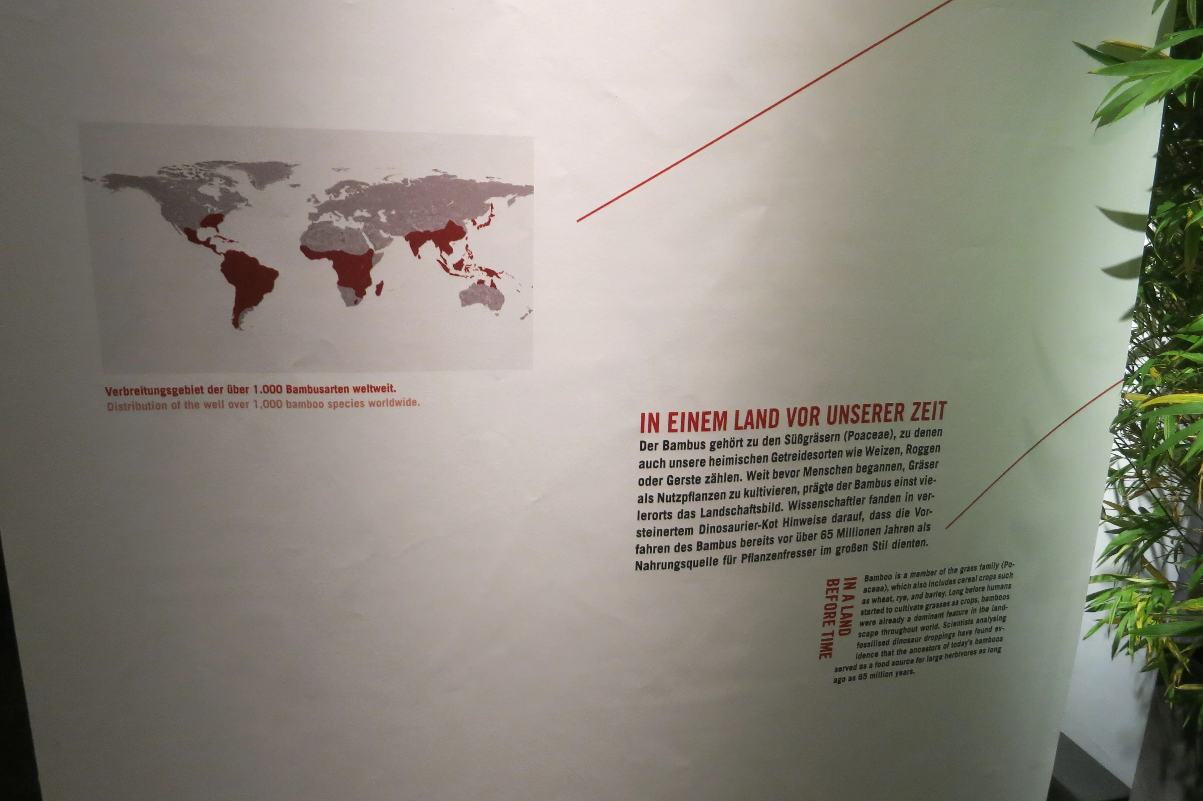 Museum für Naturkunde Berlin