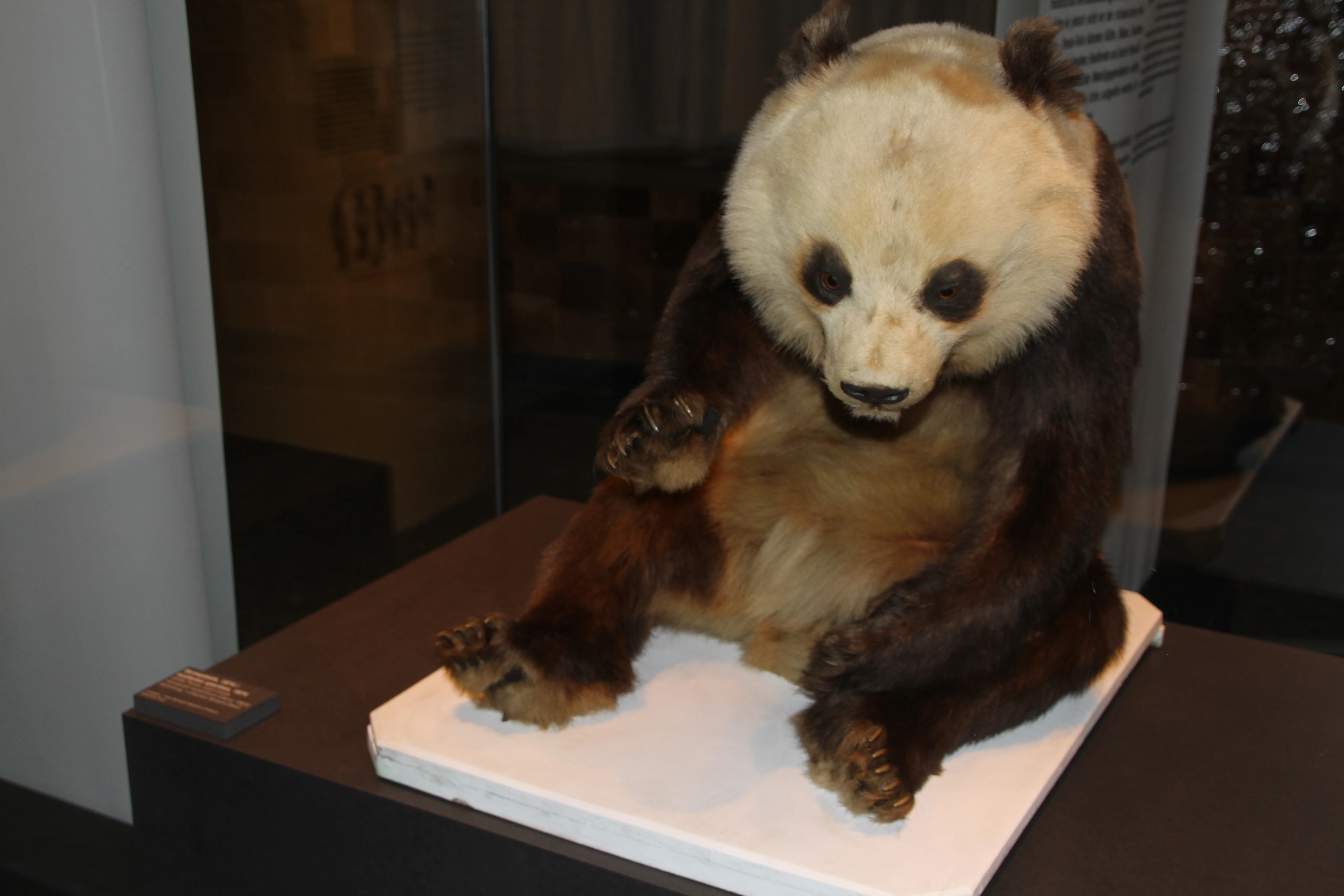 Museum für Naturkunde Berlin