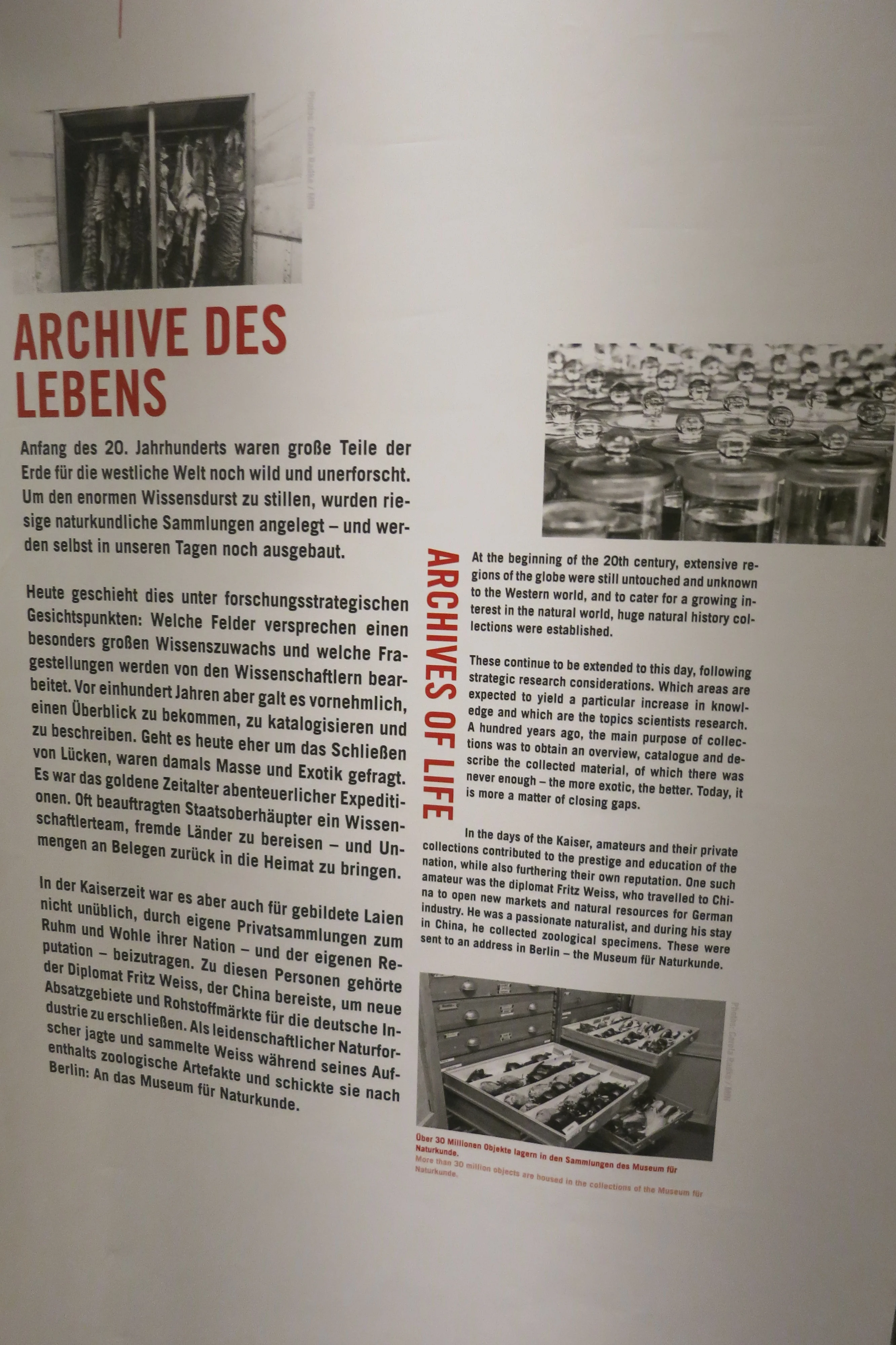 Museum für Naturkunde Berlin