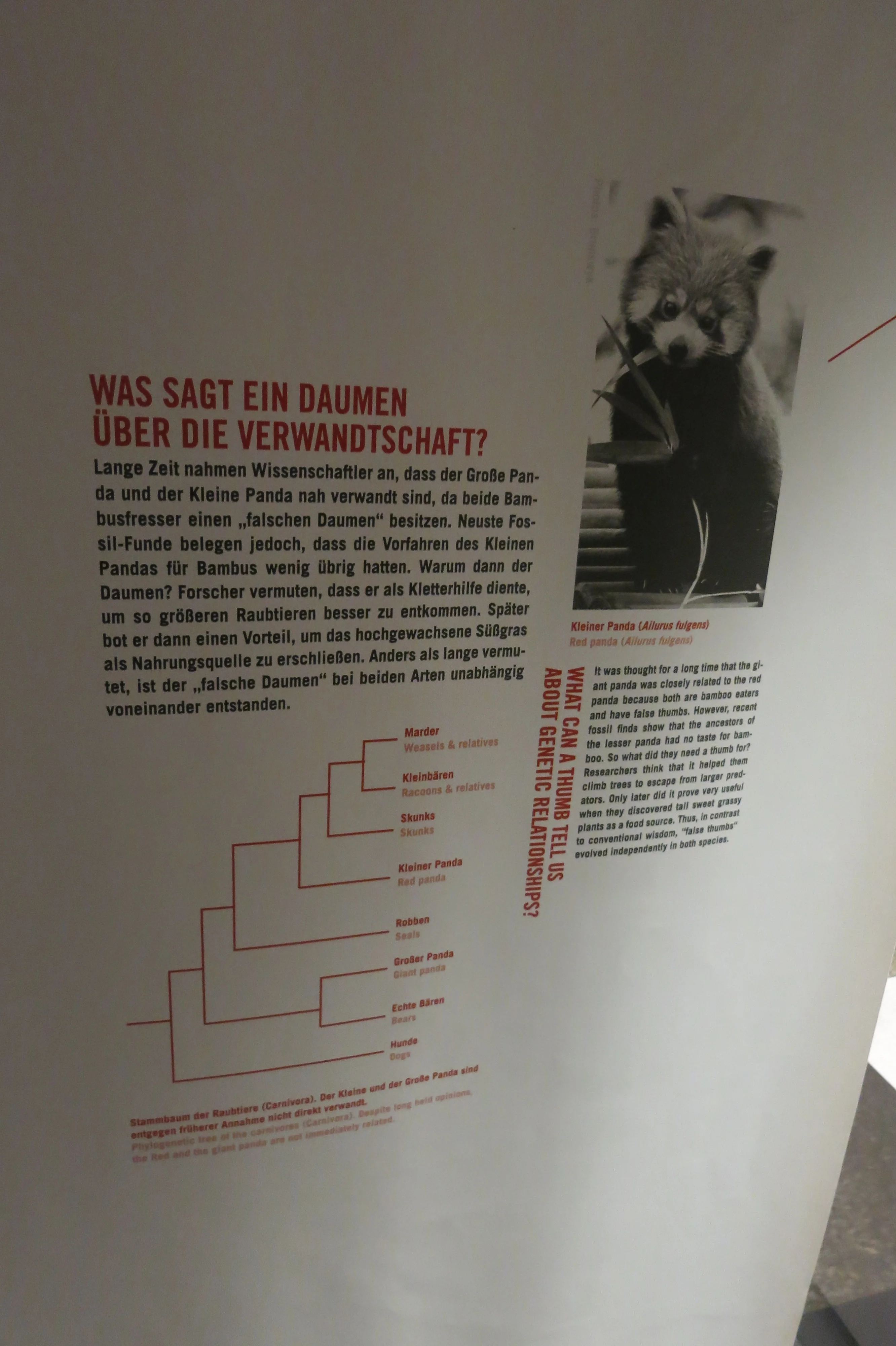 Museum für Naturkunde Berlin