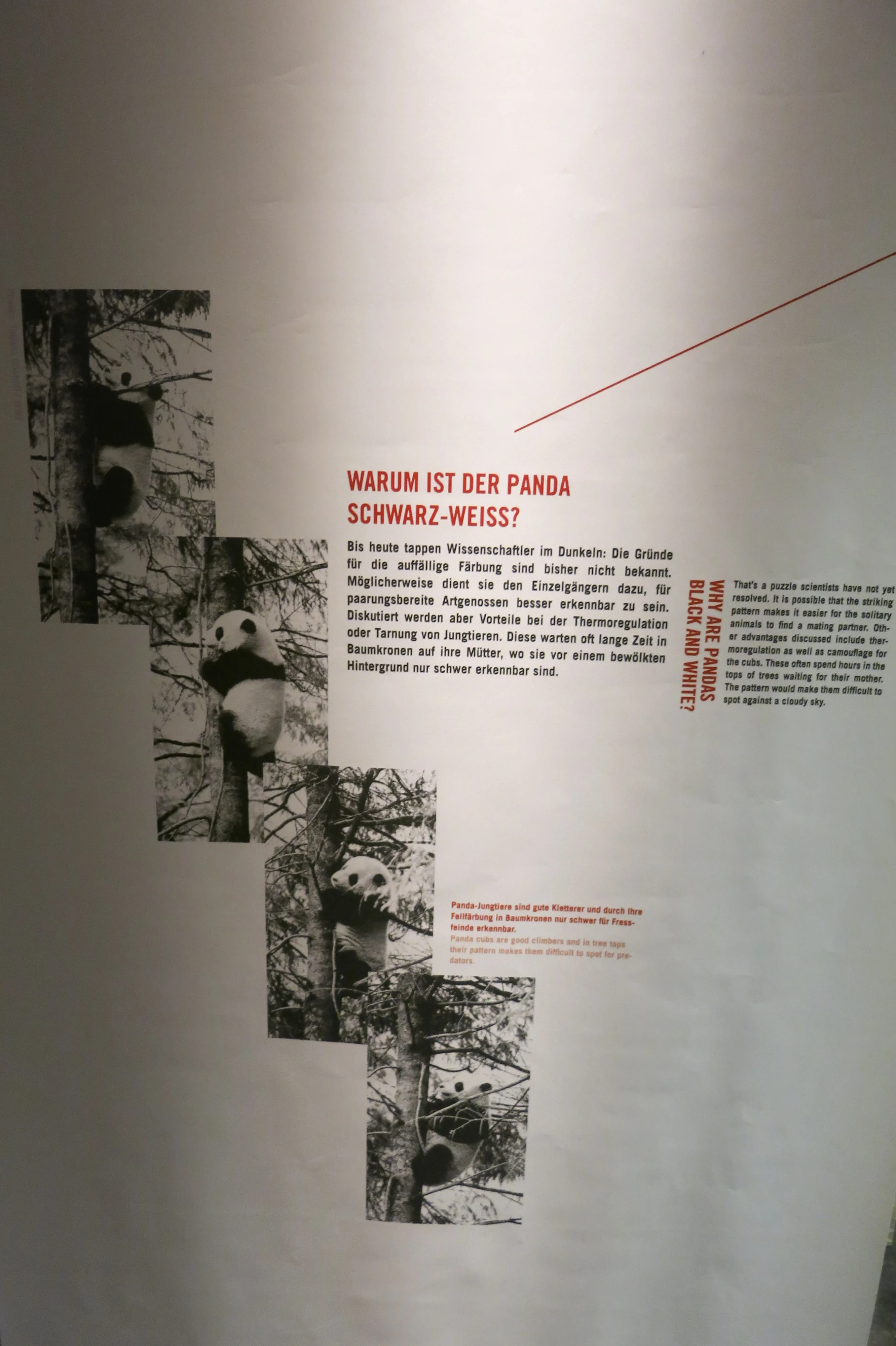 Museum für Naturkunde Berlin